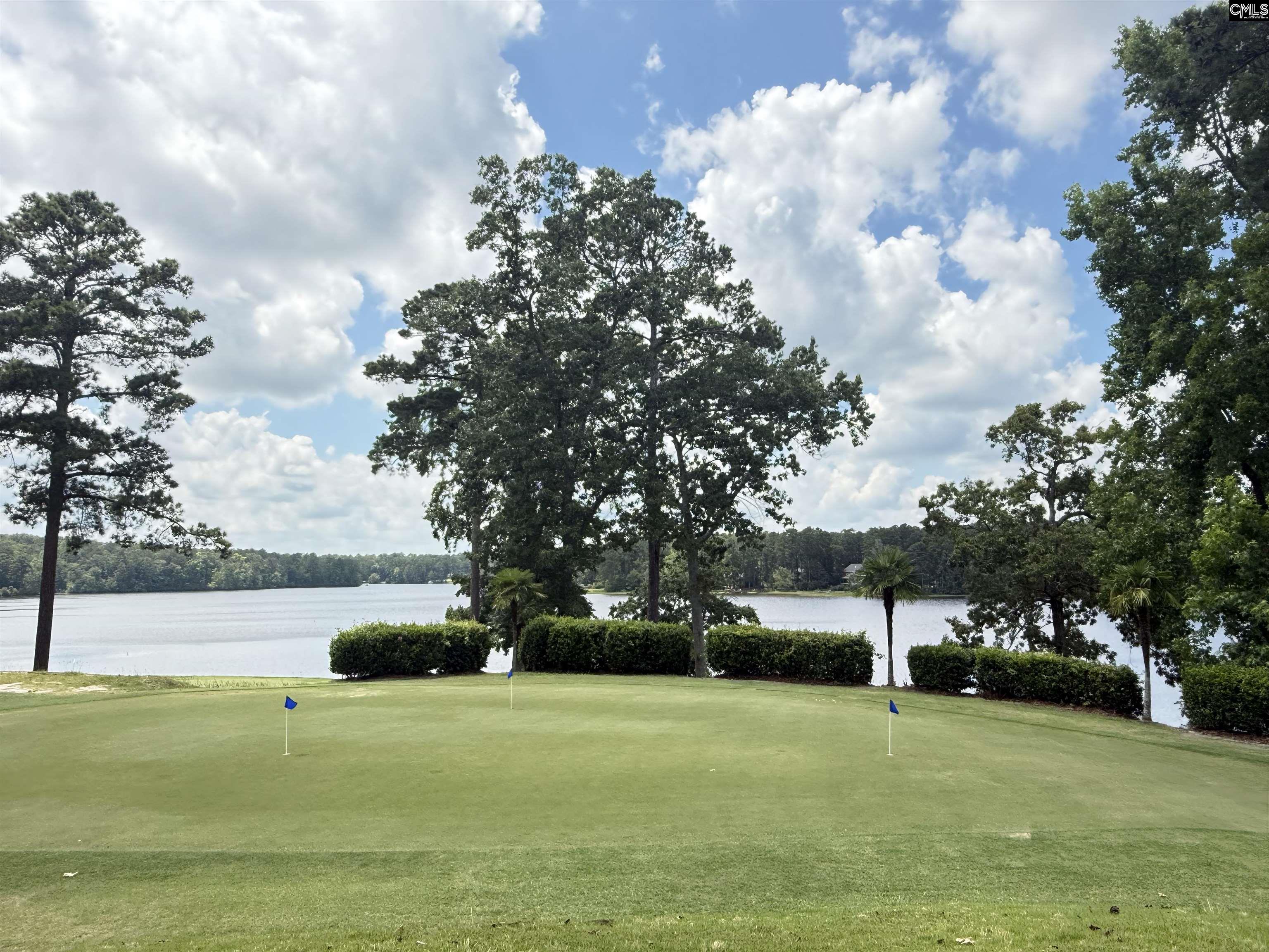 6 Wynford Place, Blythewood, South Carolina image 3