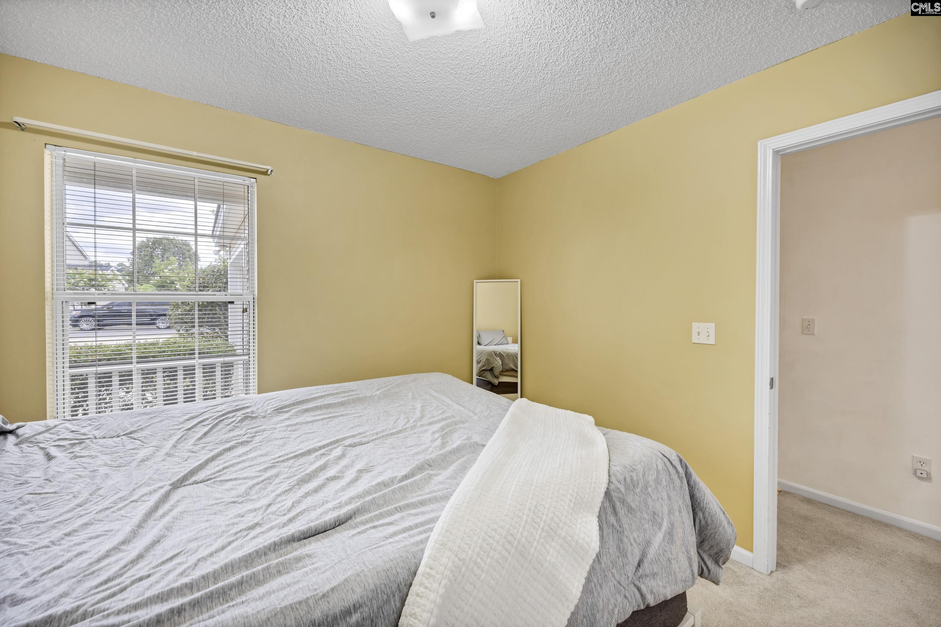 319 E Lake Trail, Columbia, South Carolina image 21