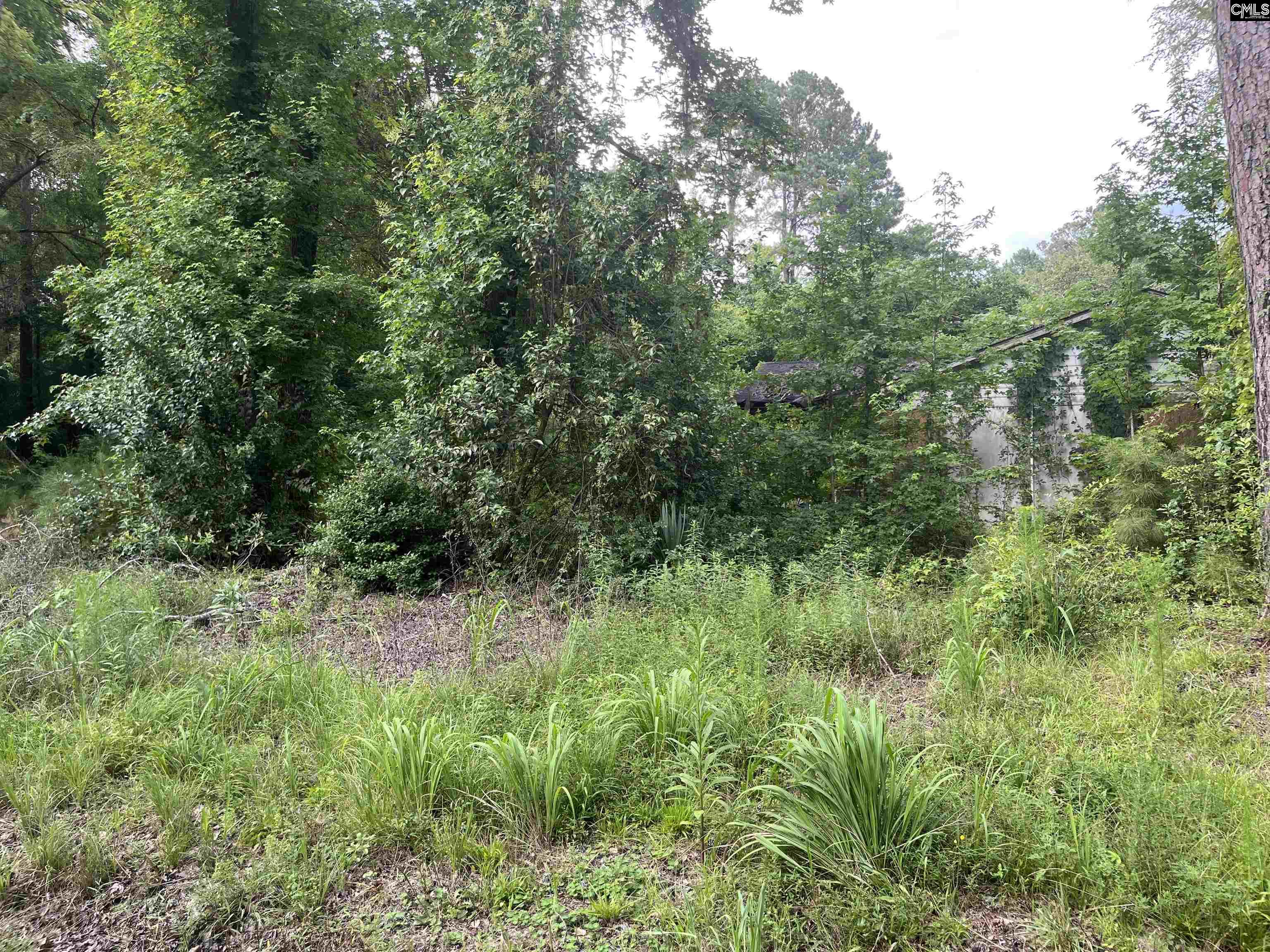 5552 Bluff Road, Columbia, South Carolina image 4