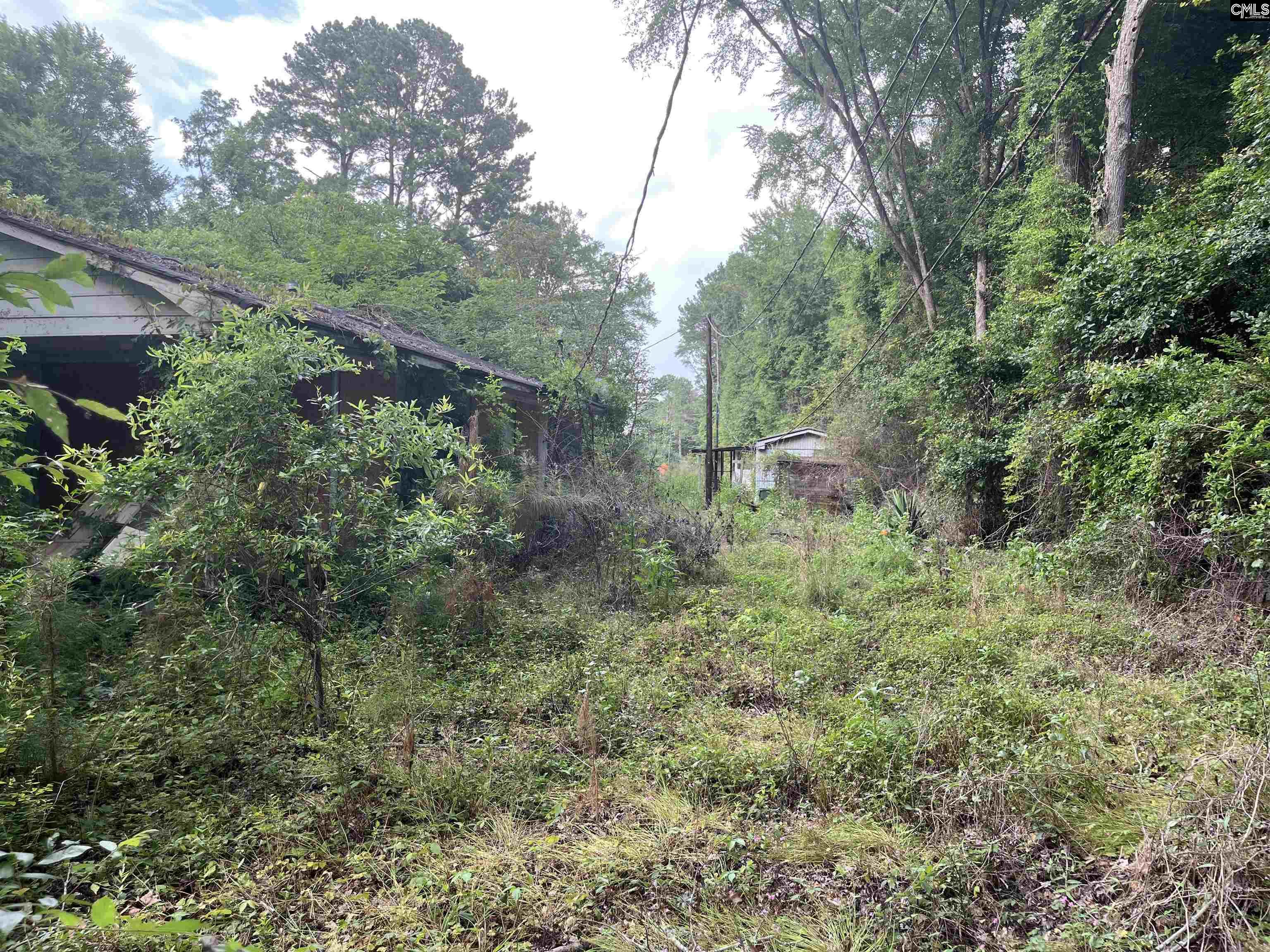 5552 Bluff Road, Columbia, South Carolina image 6