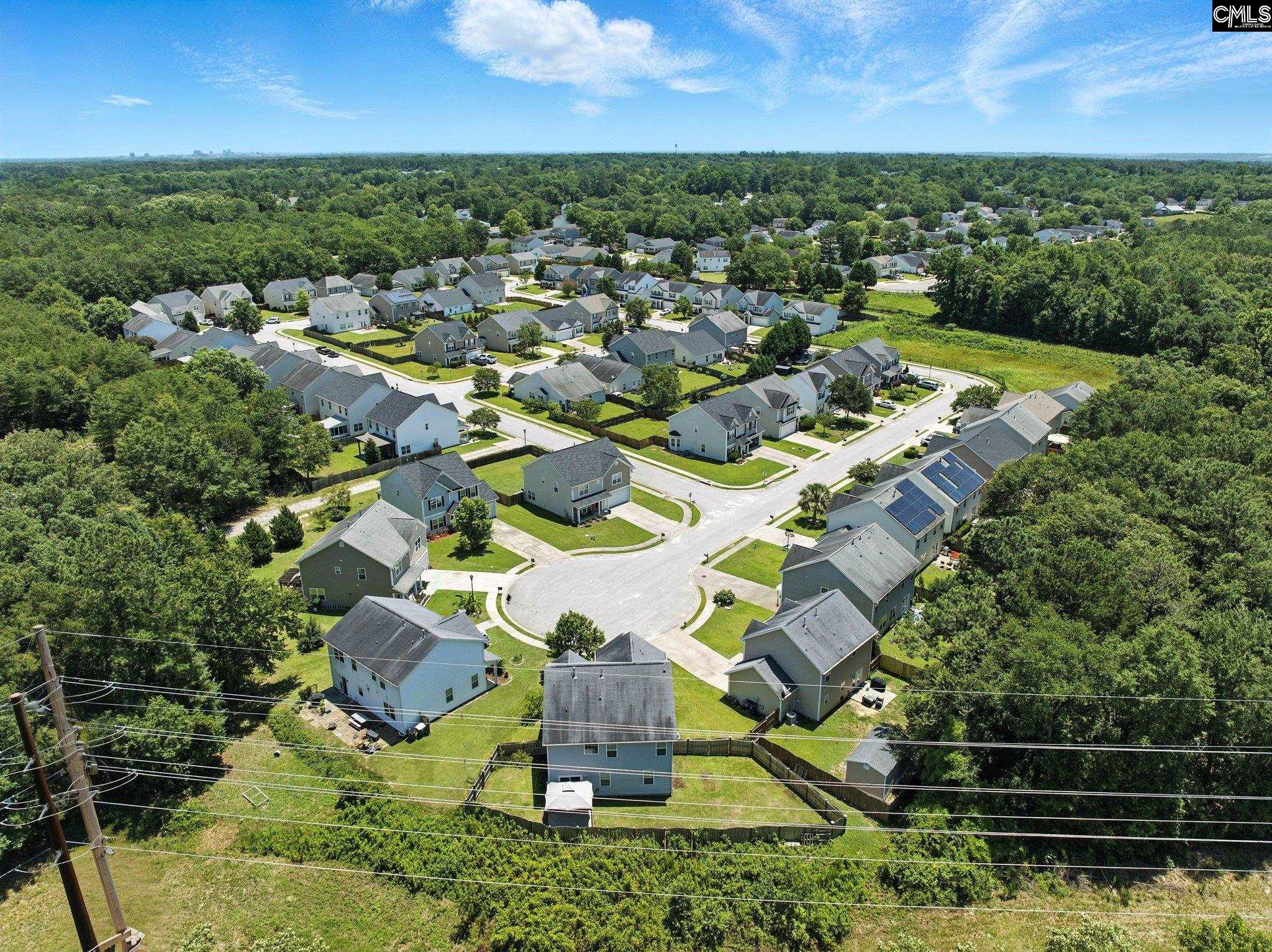 285 Black Pine Court, Lexington, South Carolina image 2