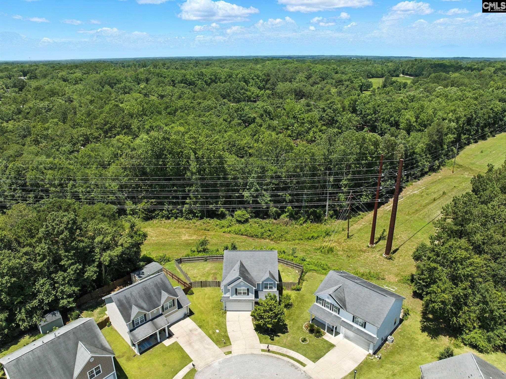 285 Black Pine Court, Lexington, South Carolina image 3