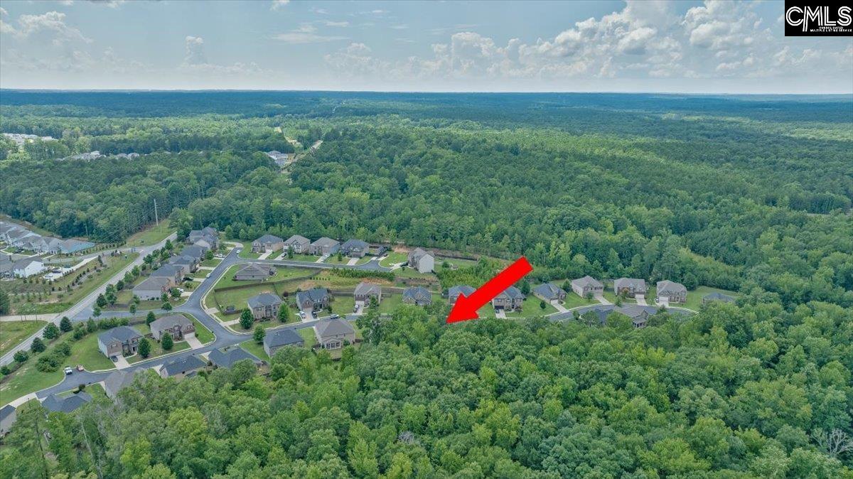1054 Grey Duck Lane Blythewood, SC 29016