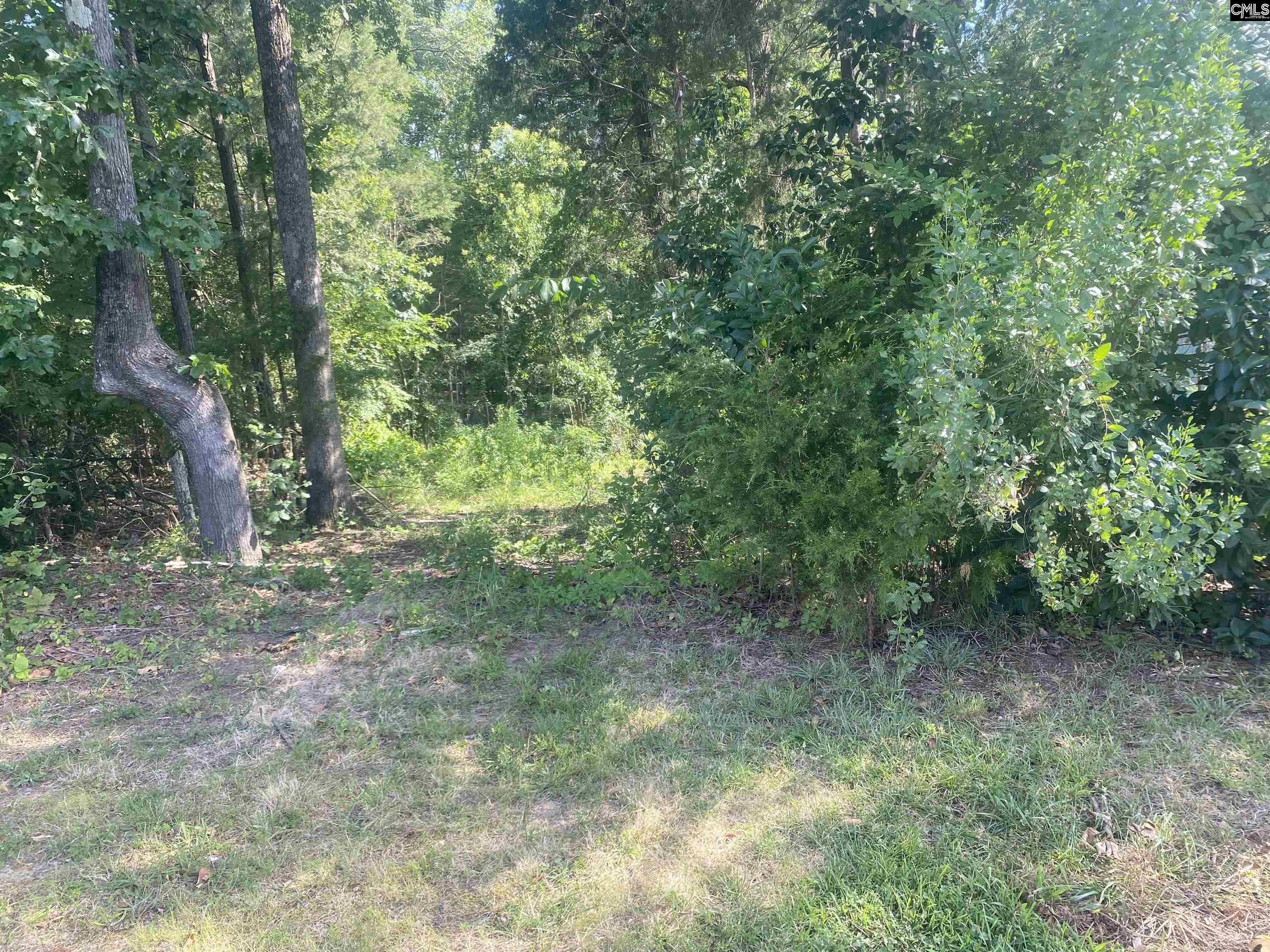 115 Beacon Point Road, Irmo, South Carolina image 2
