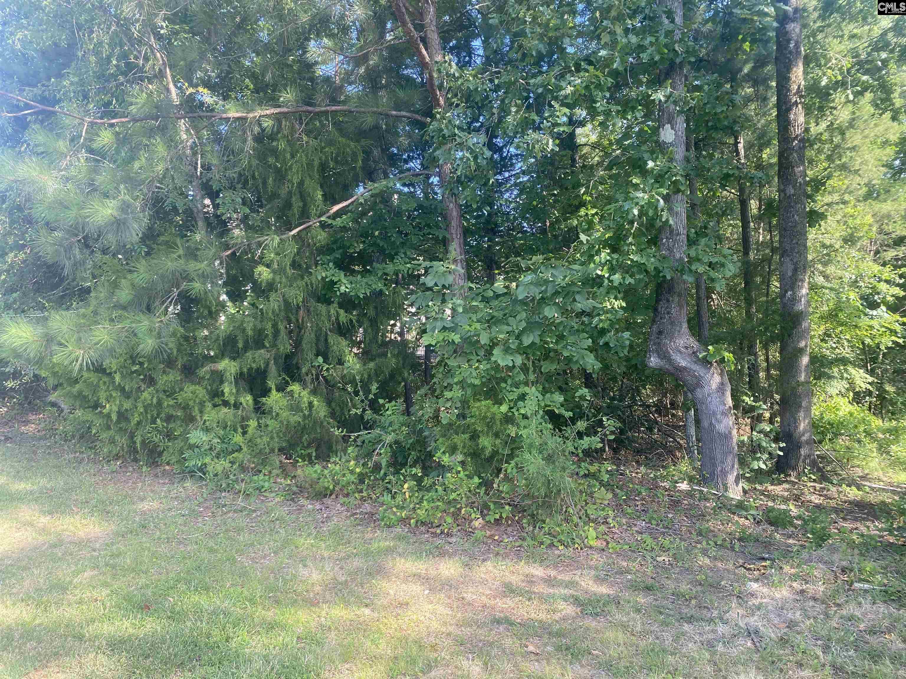 115 Beacon Point Road, Irmo, South Carolina image 3