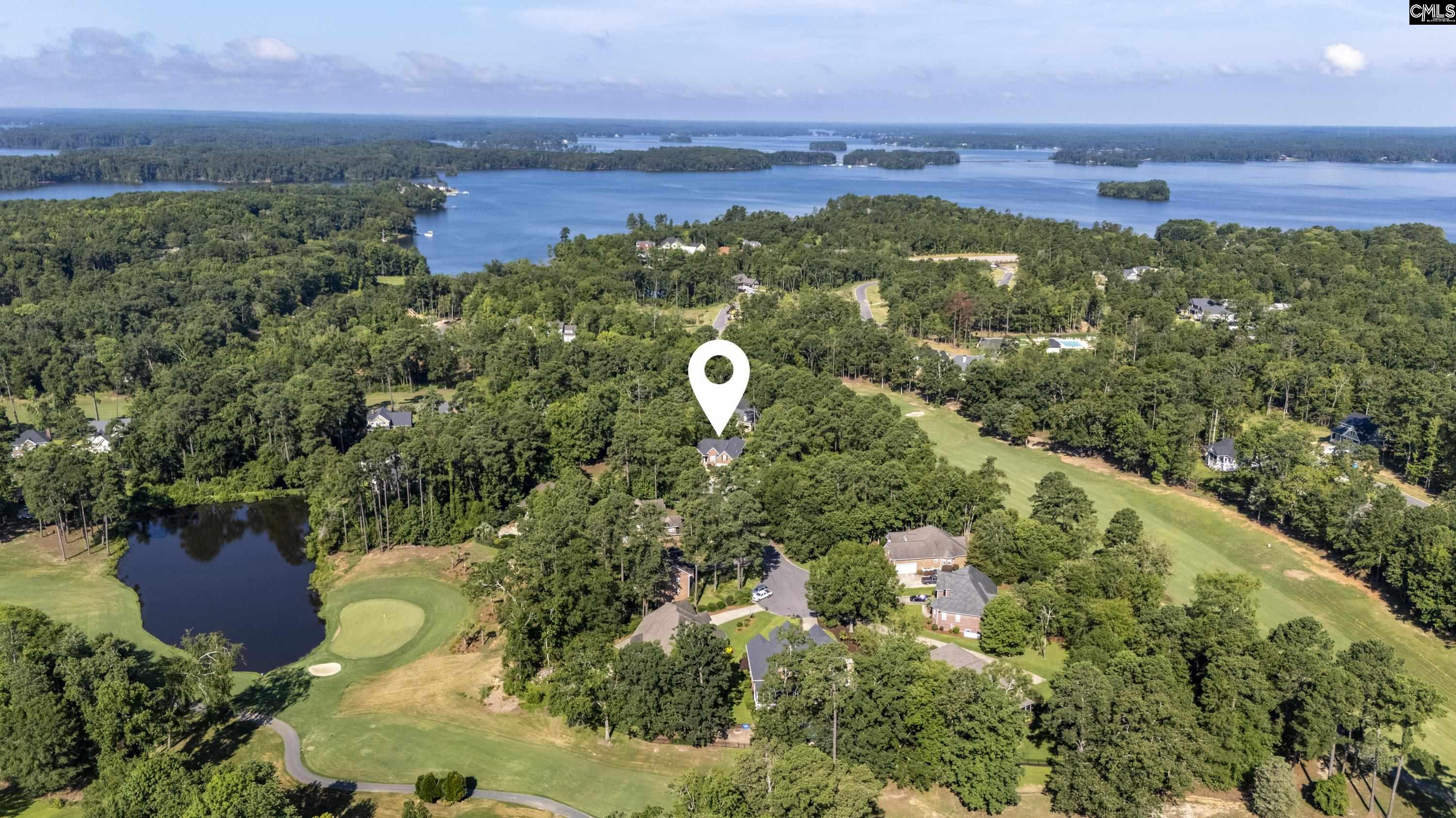 109 Oak Trace Court, Chapin, South Carolina image 3