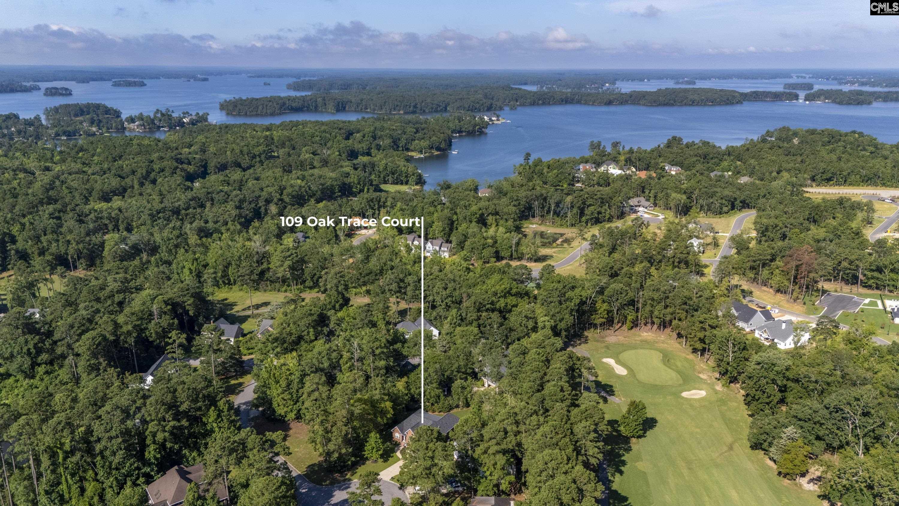 109 Oak Trace Court, Chapin, South Carolina image 4