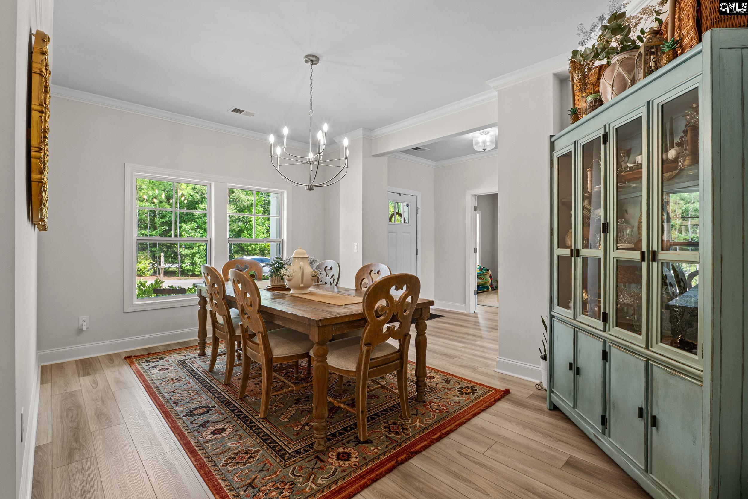 160 Burbage Lane, Chapin, South Carolina image 13