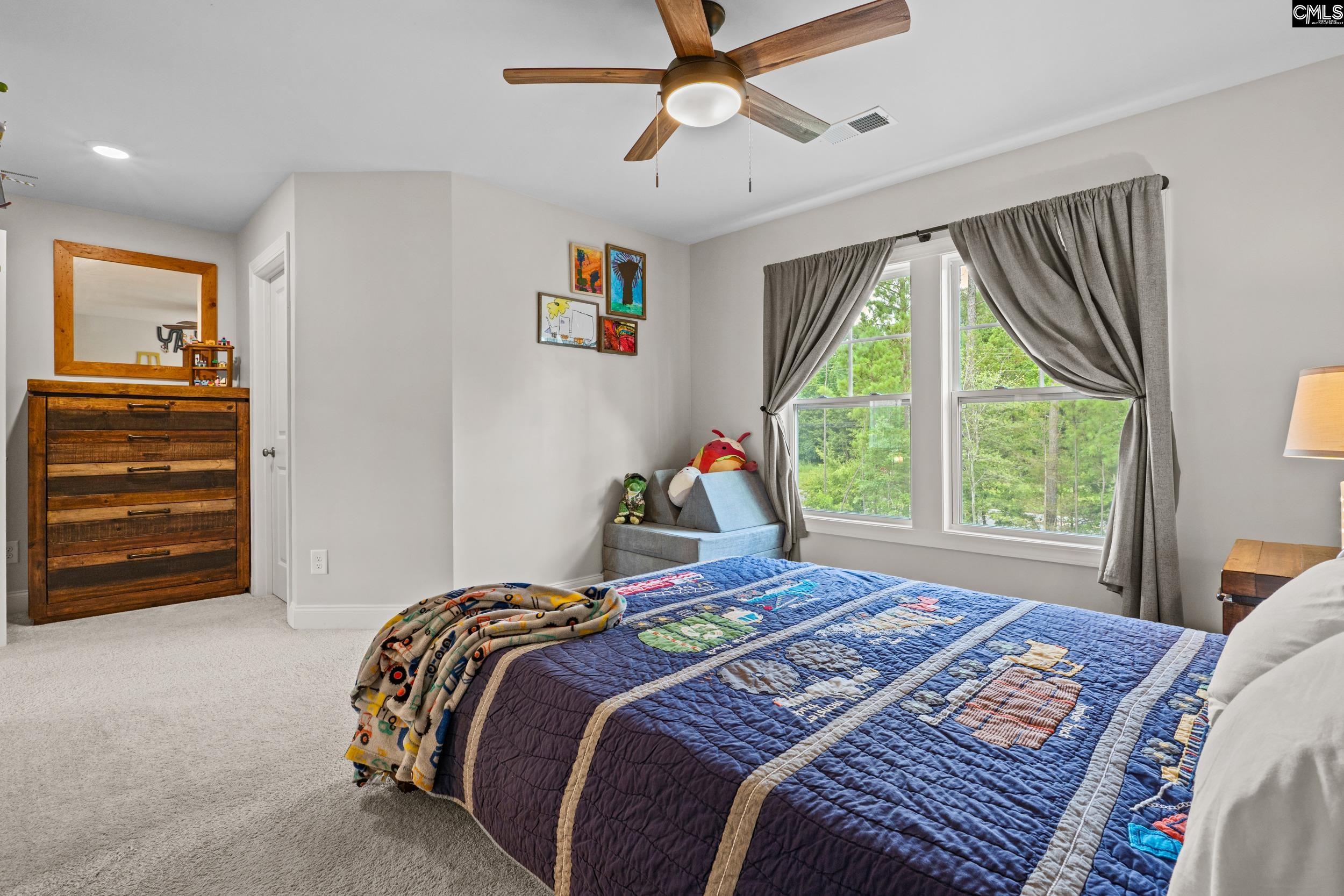 160 Burbage Lane, Chapin, South Carolina image 29