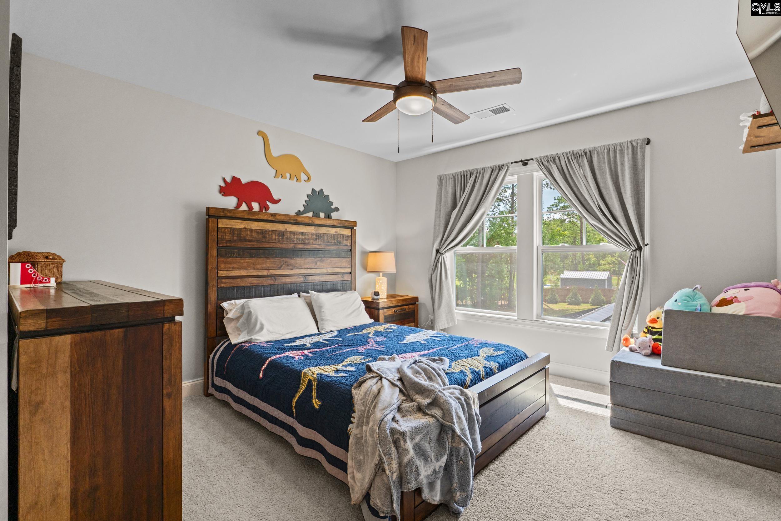160 Burbage Lane, Chapin, South Carolina image 33