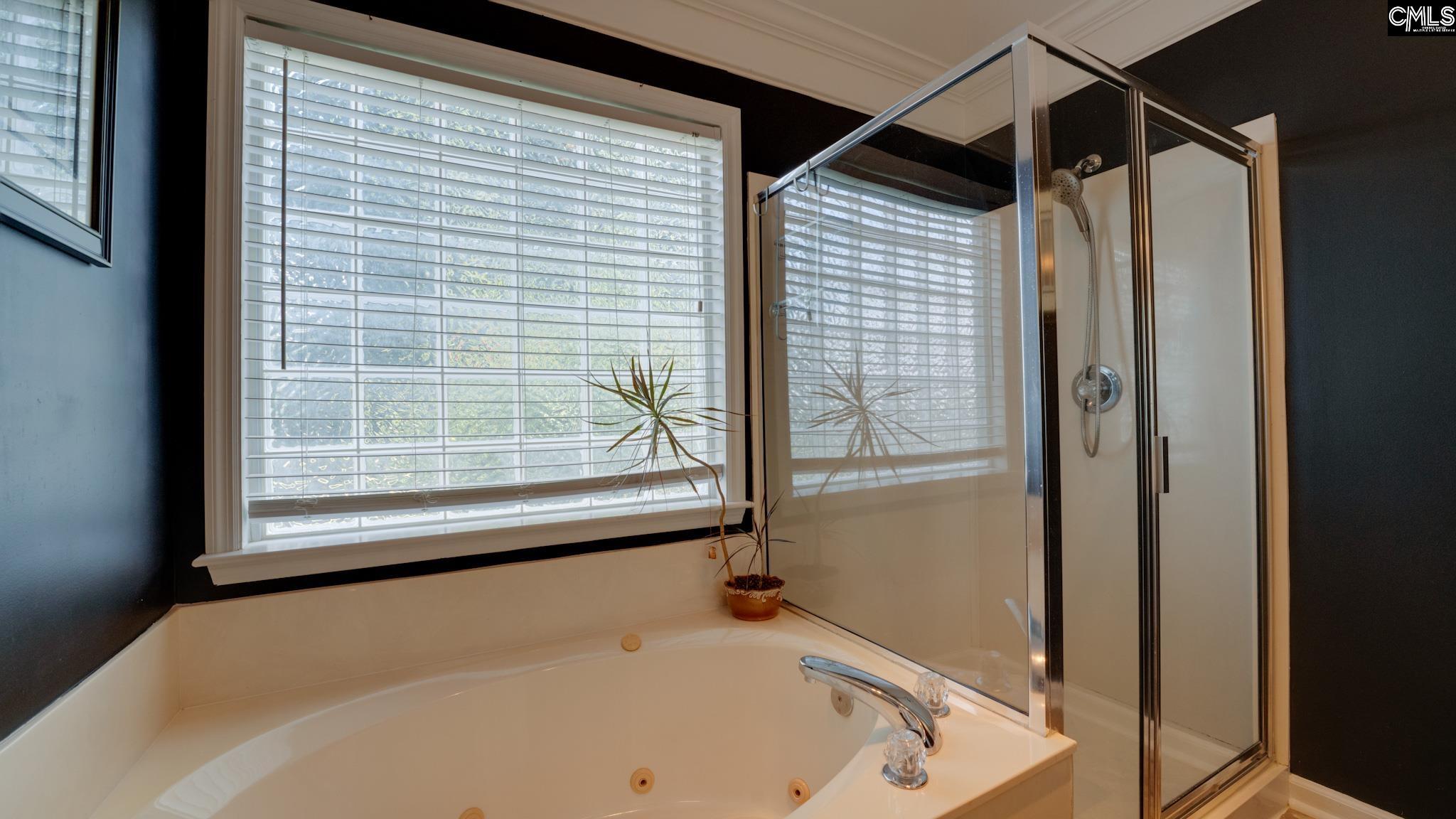 188 Jamestowne Court, Lexington, South Carolina image 21