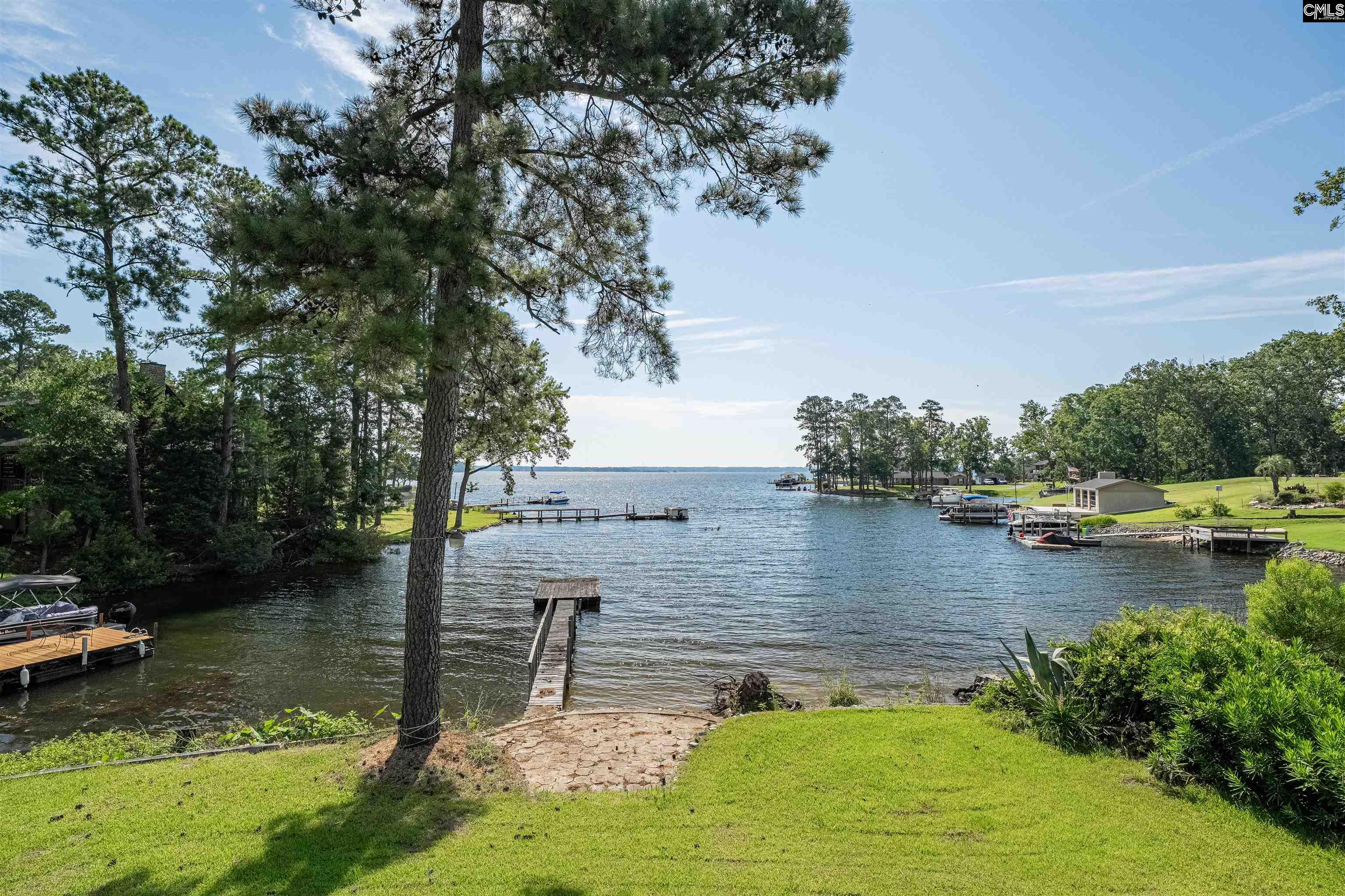 407 Old Forge Road, Chapin, South Carolina image 8