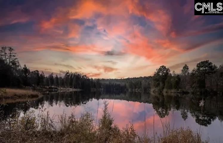 152 Living Waters Boulevard UNIT #10 Lexington, SC 29073