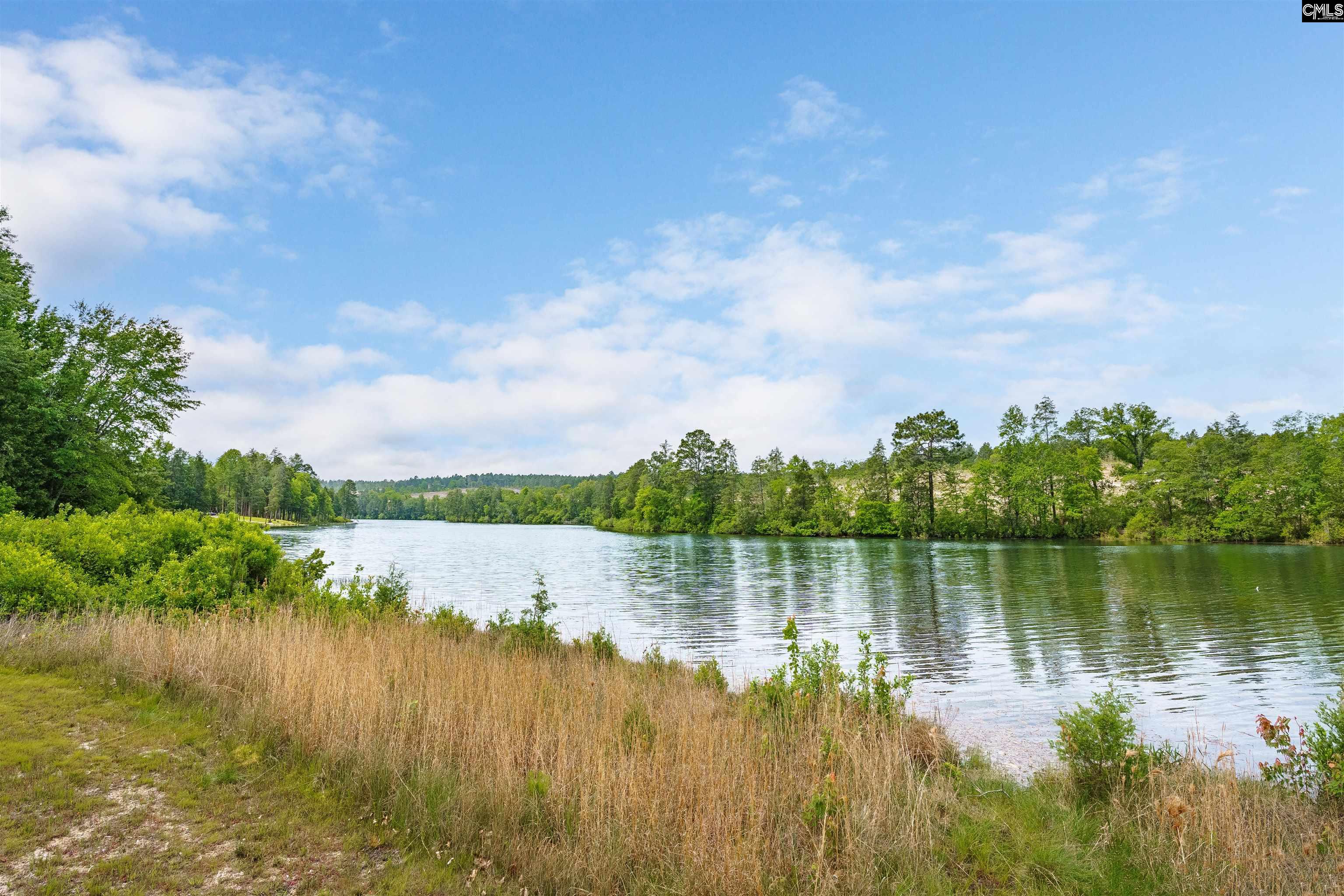 152 Living Waters Boulevard, Lexington, South Carolina image 3