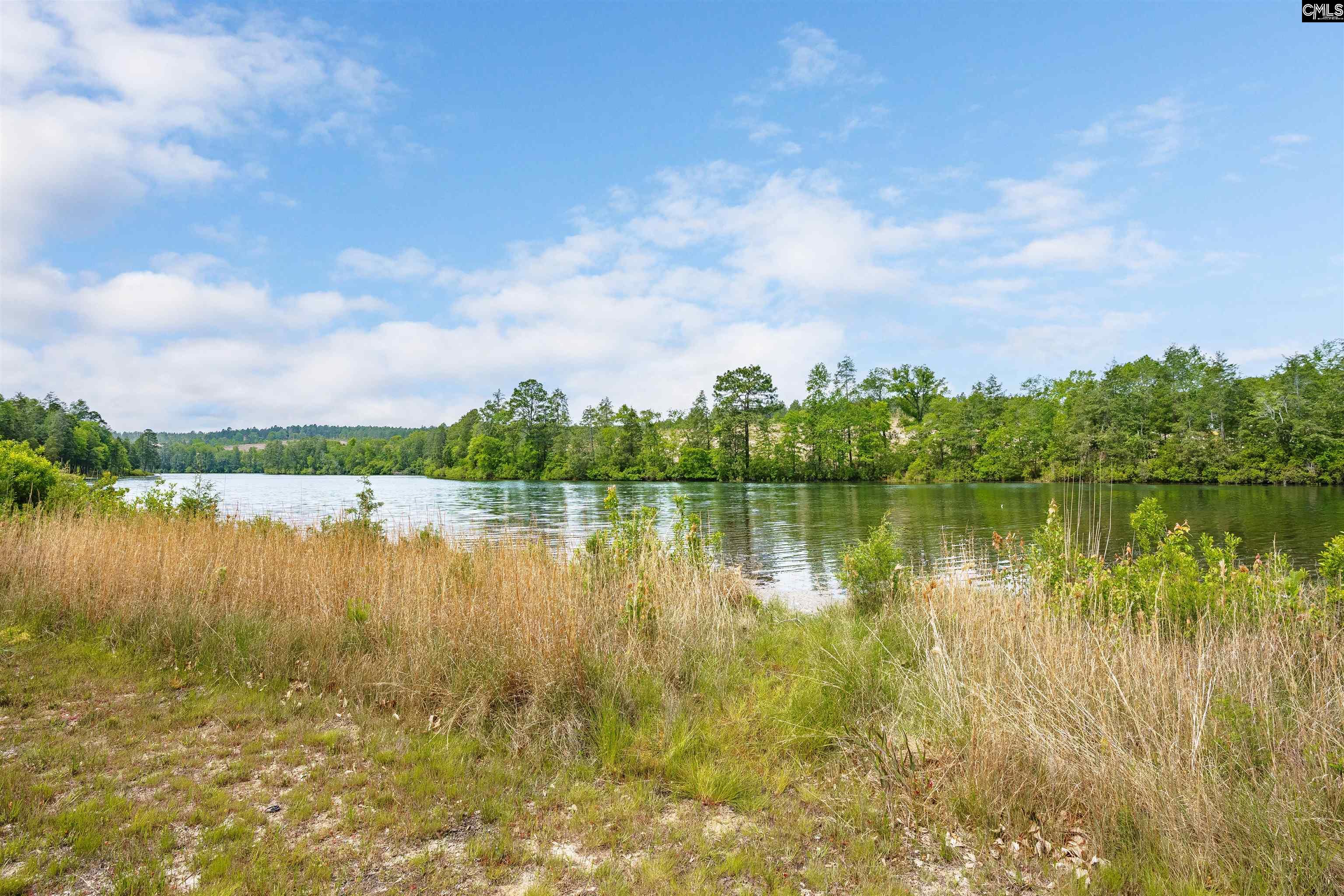 152 Living Waters Boulevard, Lexington, South Carolina image 9