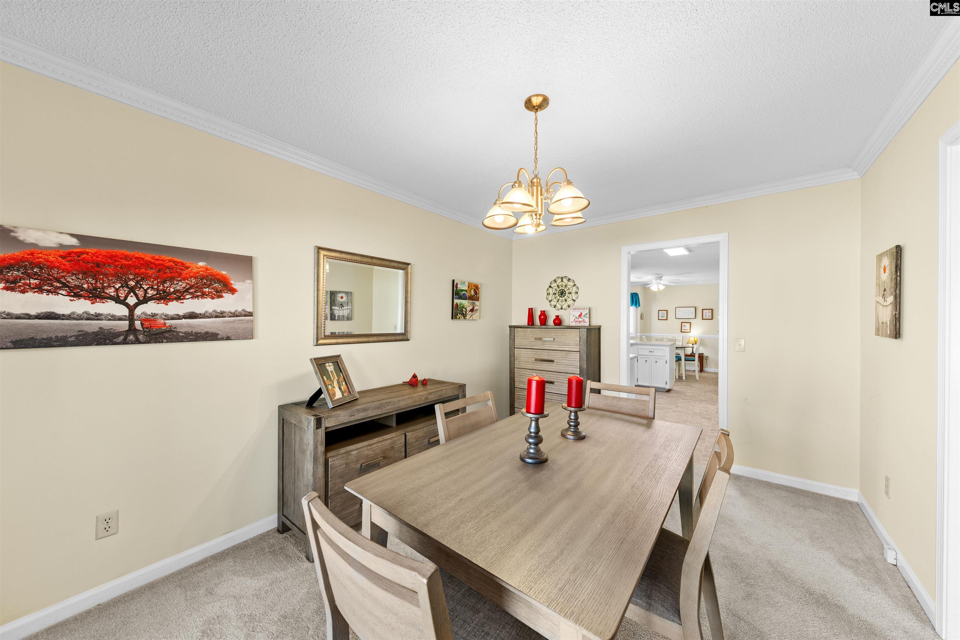 217 Patio Place, Columbia, South Carolina image 13