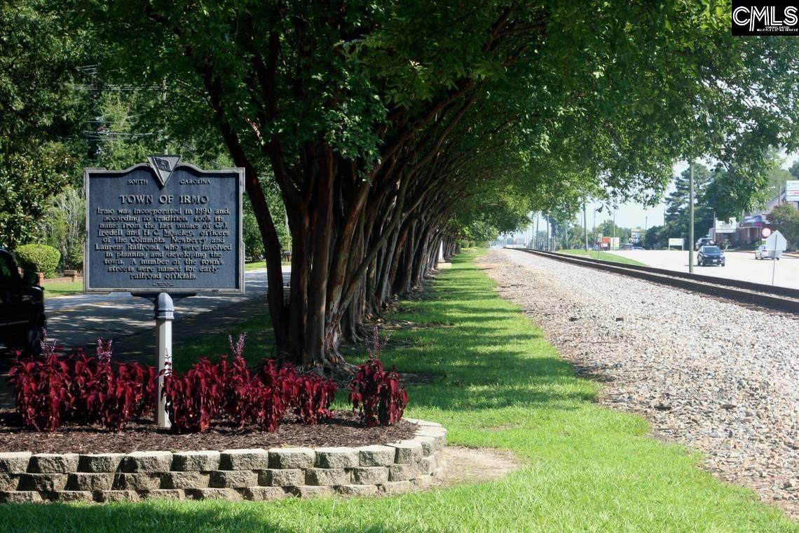 171 Locomotive (lot 22) Lane, Irmo, South Carolina image 38