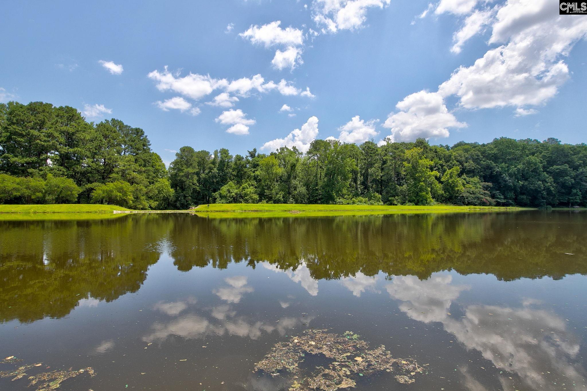 1516 Sewanee Drive, West Columbia, South Carolina image 50