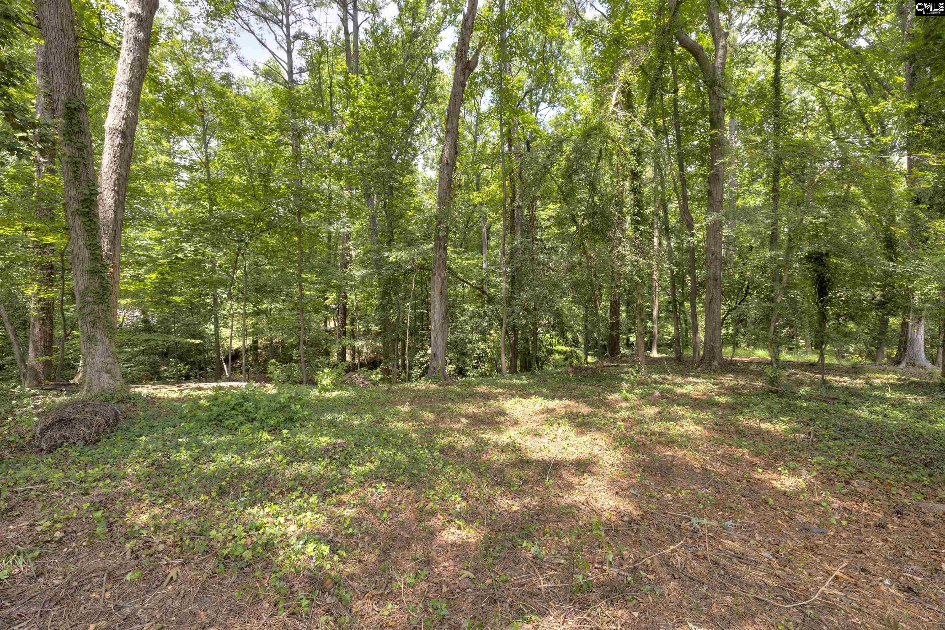 1702 Elm Abode, Columbia, South Carolina image 12
