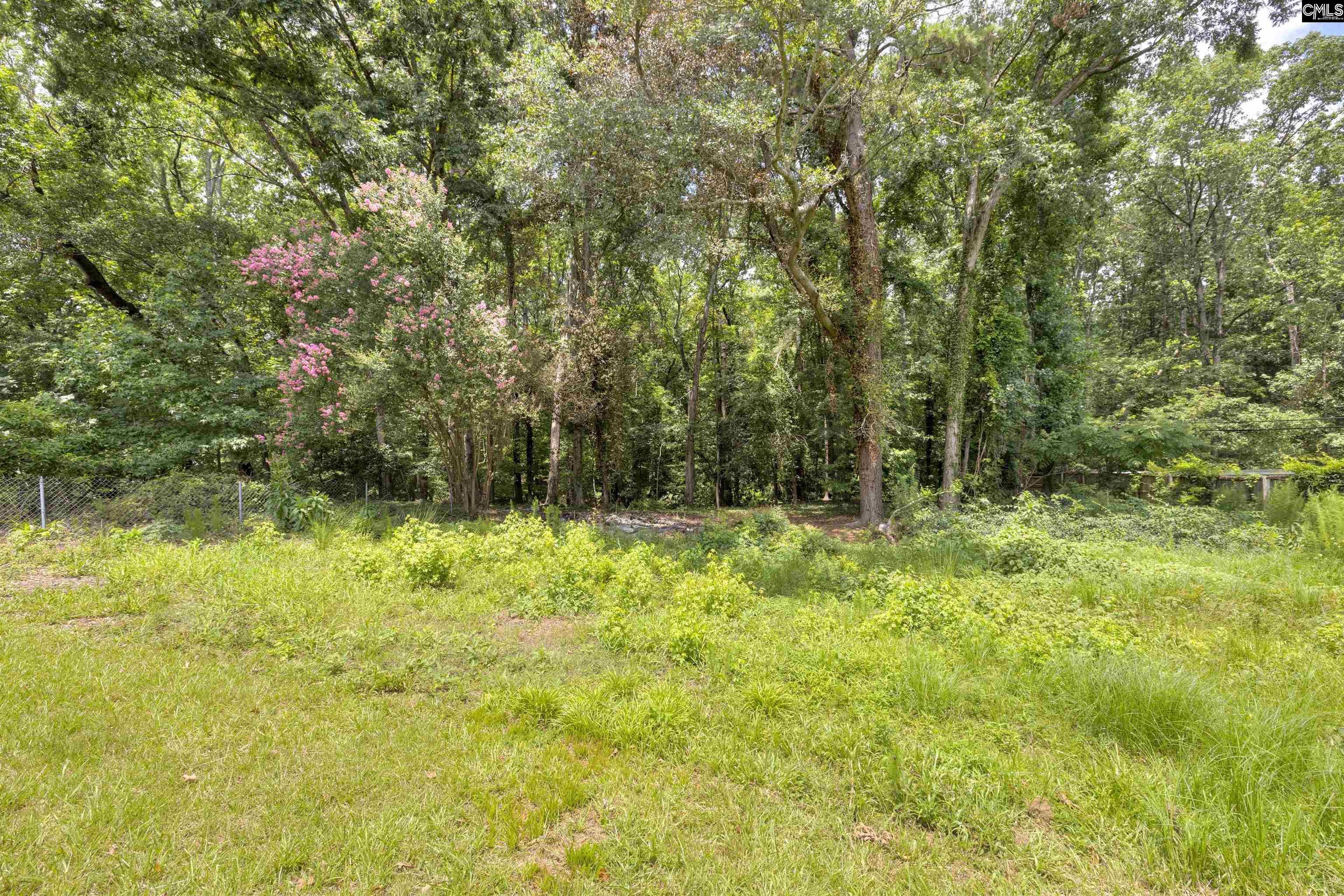1702 Elm Abode, Columbia, South Carolina image 10