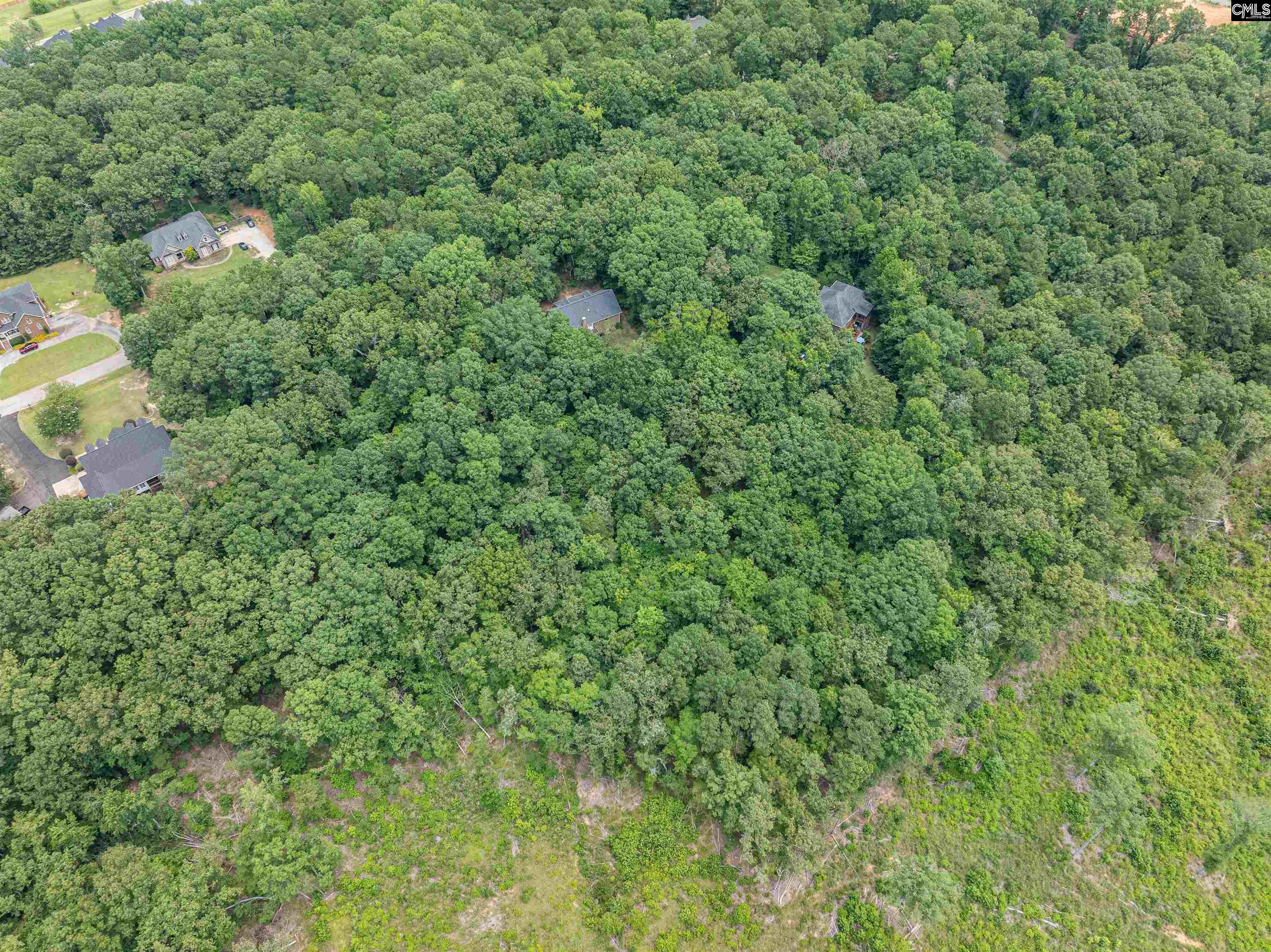 216 Bookman Mill Road, Irmo, South Carolina image 41