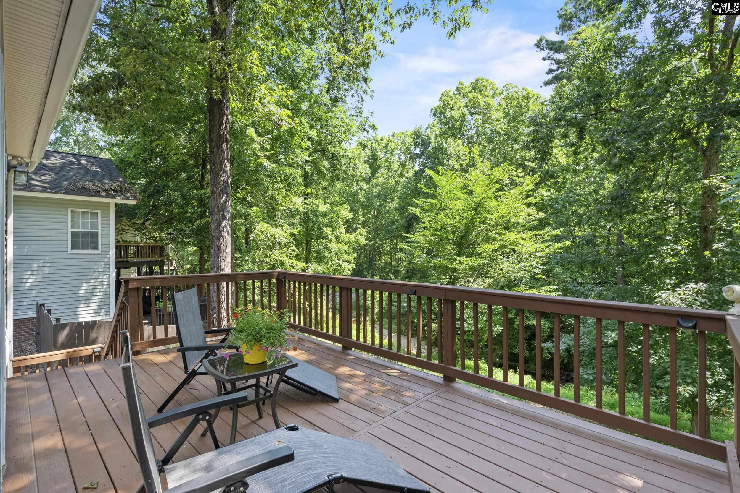 3726 Ardincaple Drive, Columbia, South Carolina image 23