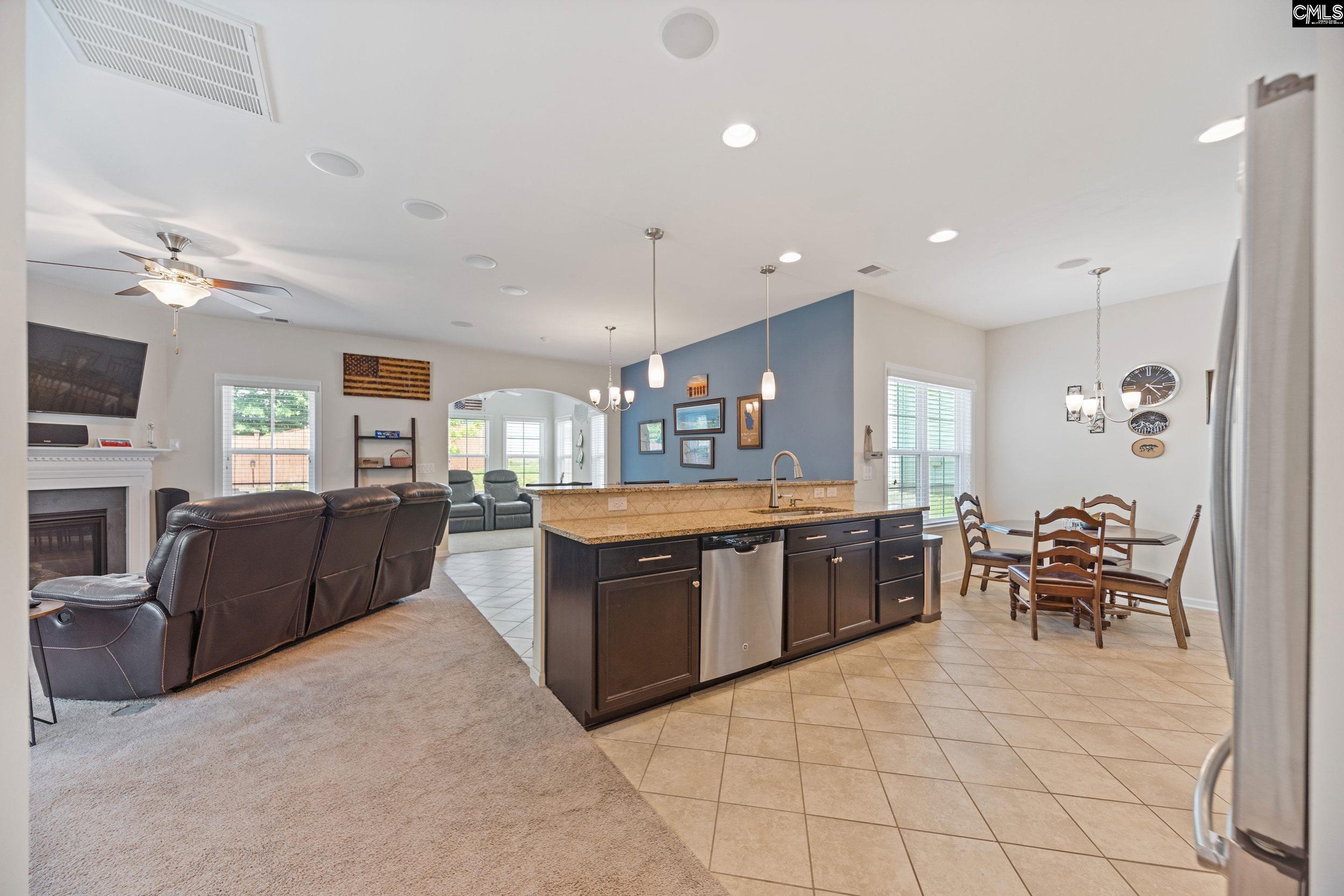 608 Calypso Ct, Chapin, South Carolina image 15