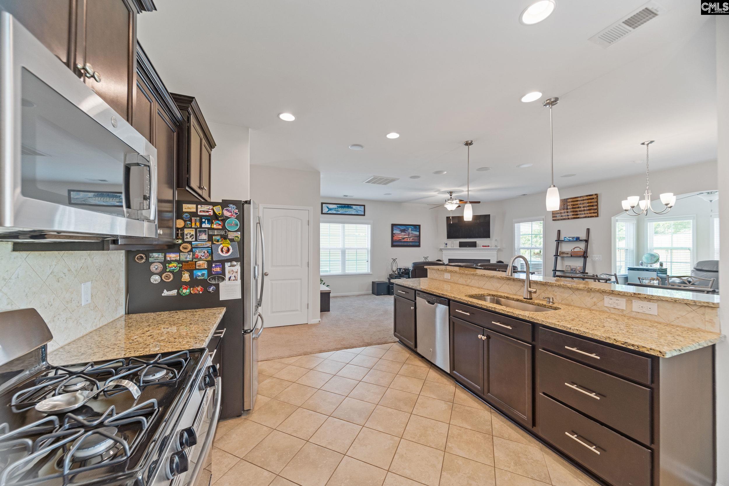 608 Calypso Ct, Chapin, South Carolina image 19