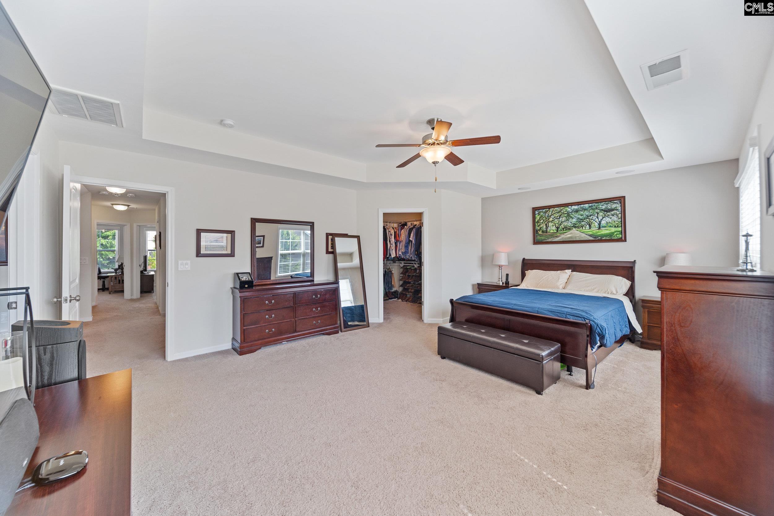 608 Calypso Ct, Chapin, South Carolina image 29