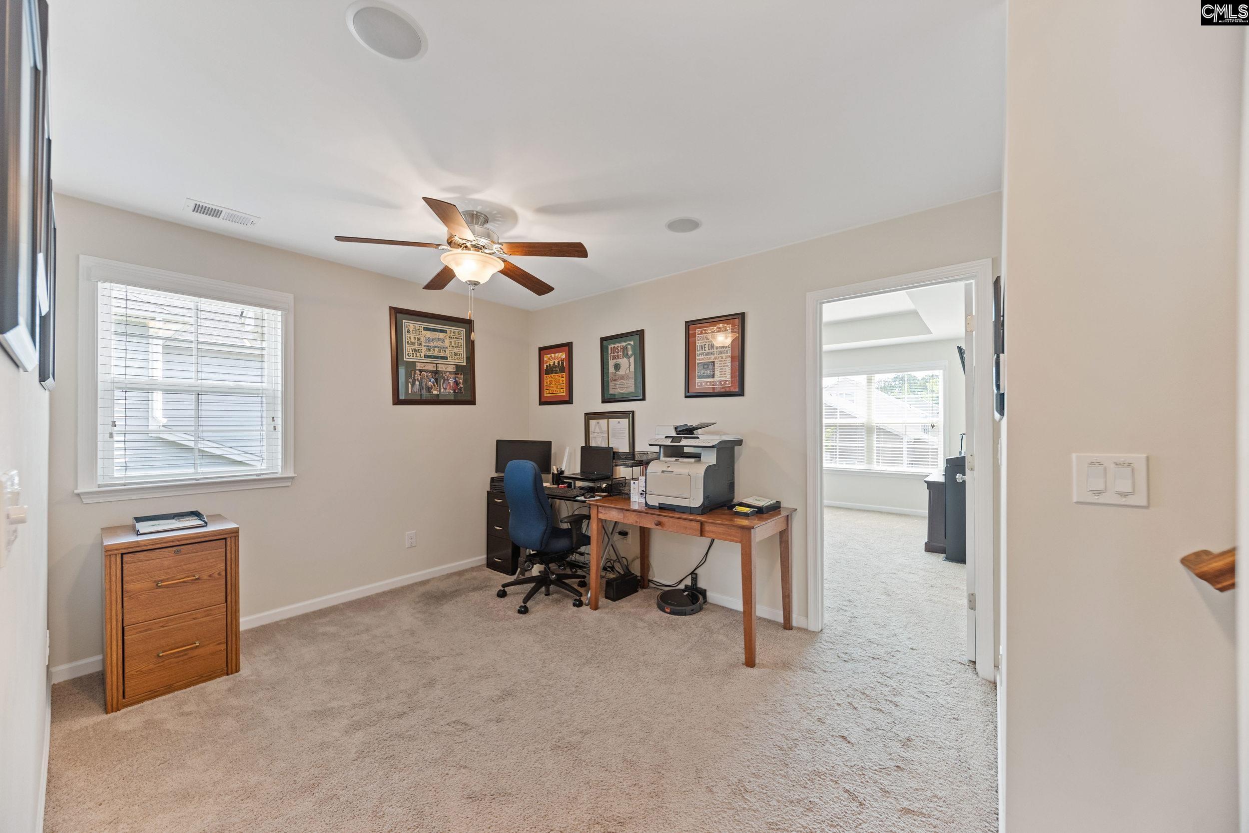 608 Calypso Ct, Chapin, South Carolina image 33