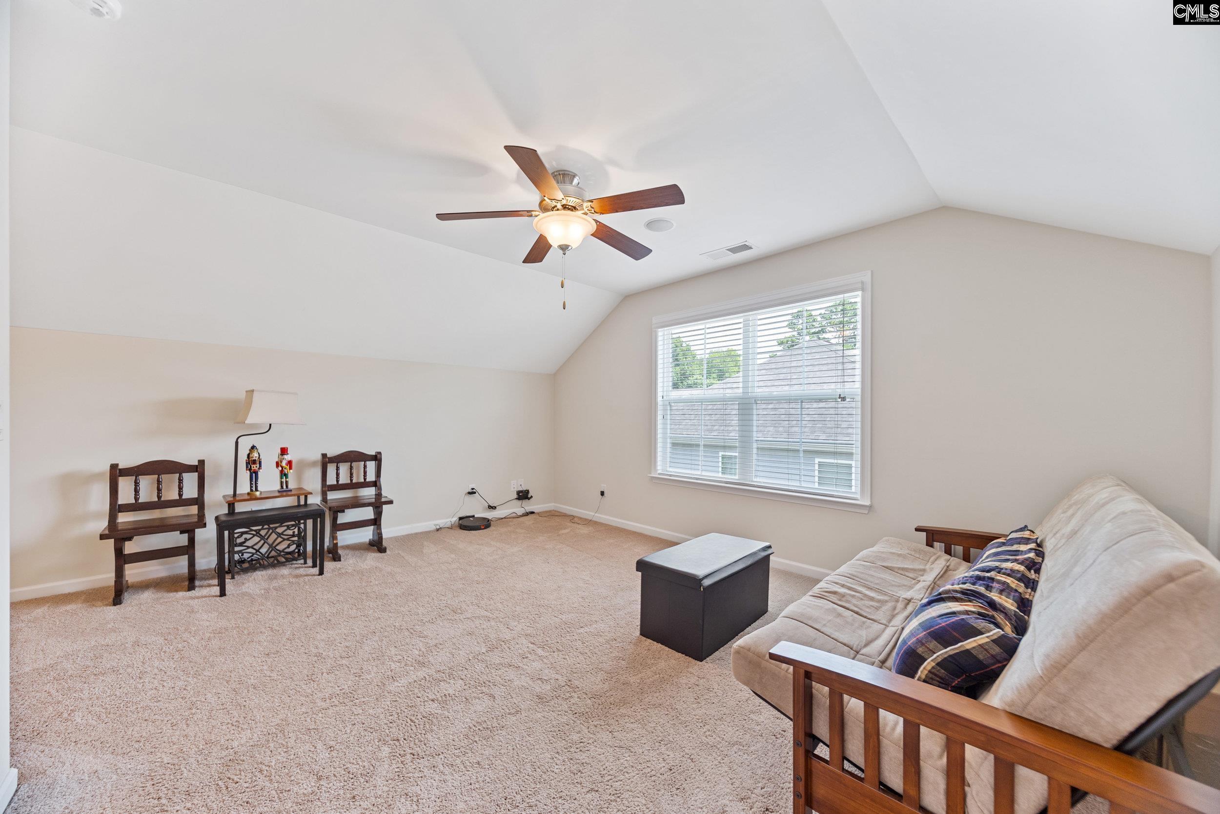 608 Calypso Ct, Chapin, South Carolina image 43