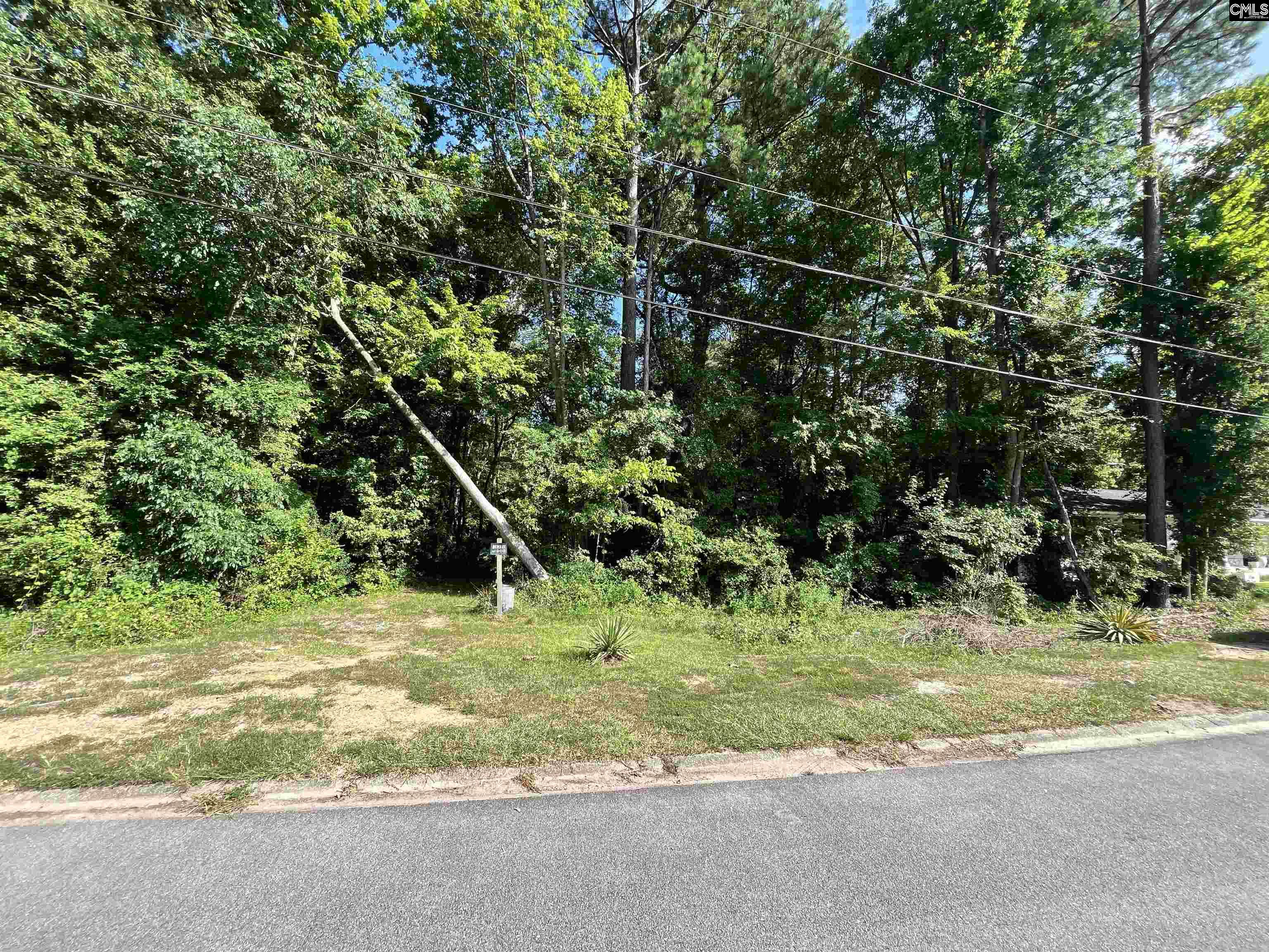 1120 Newnham Drive Columbia, SC 29210