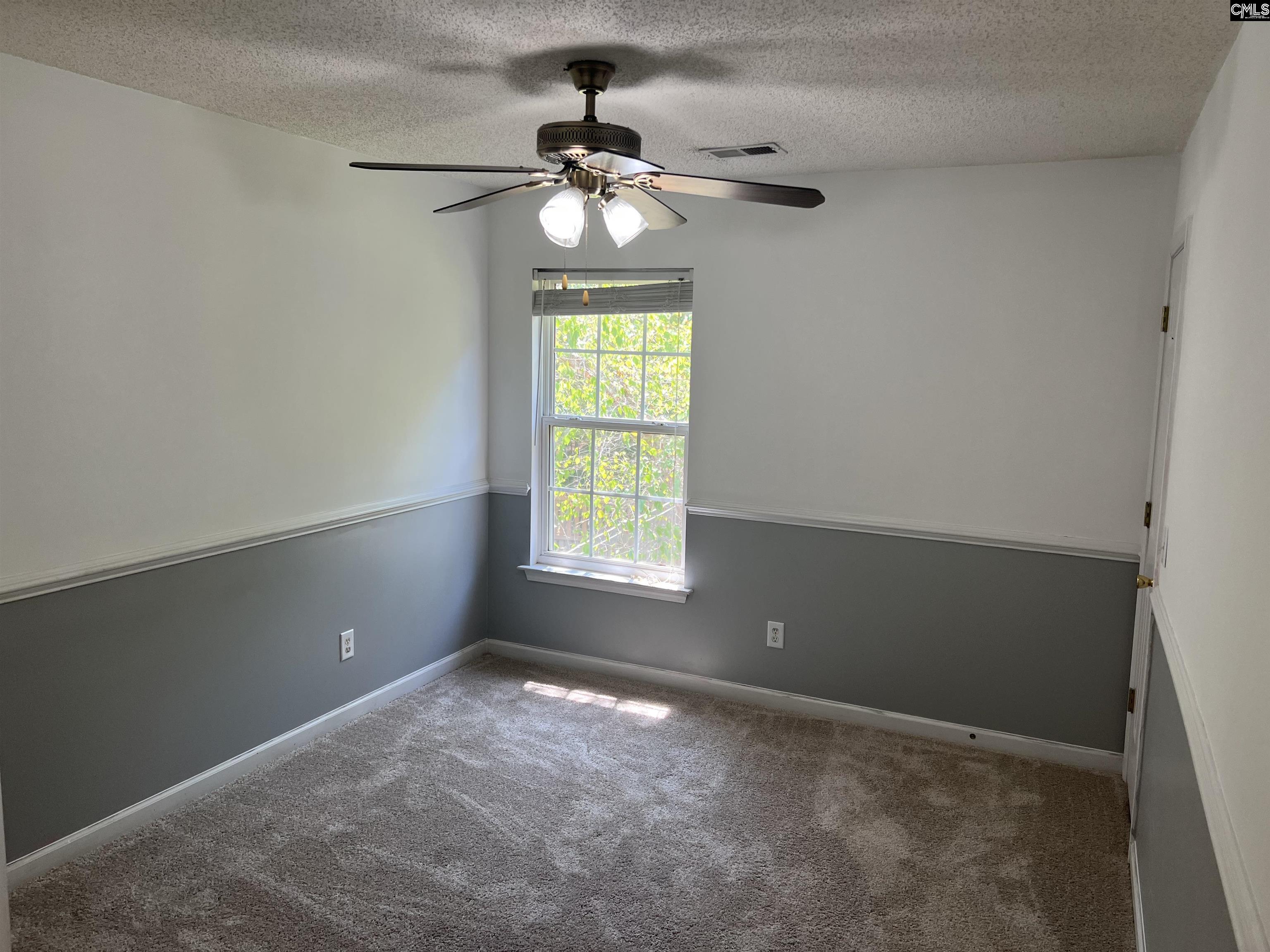 191 Elm Creek Drive, Chapin, South Carolina image 19