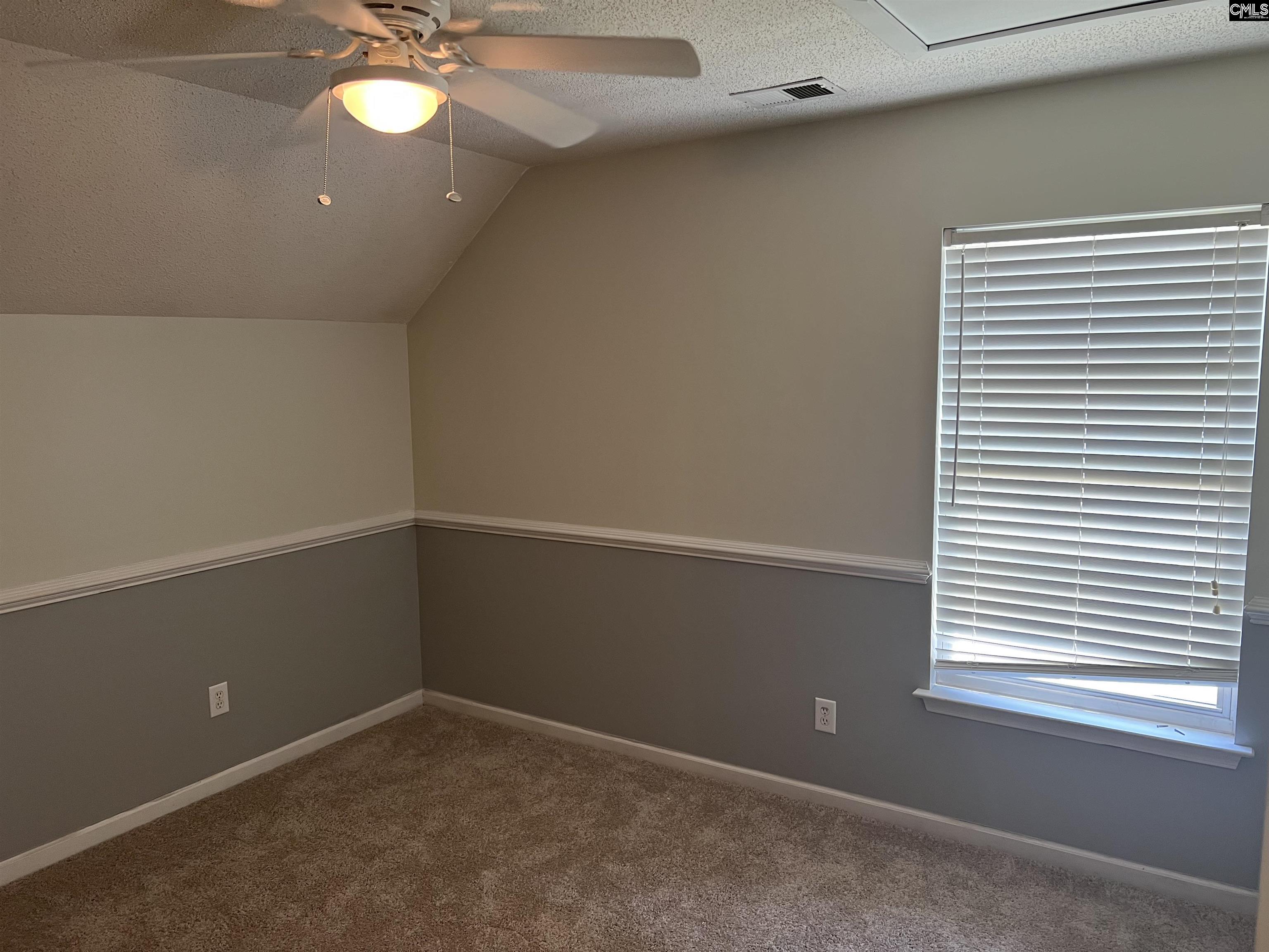 191 Elm Creek Drive, Chapin, South Carolina image 20