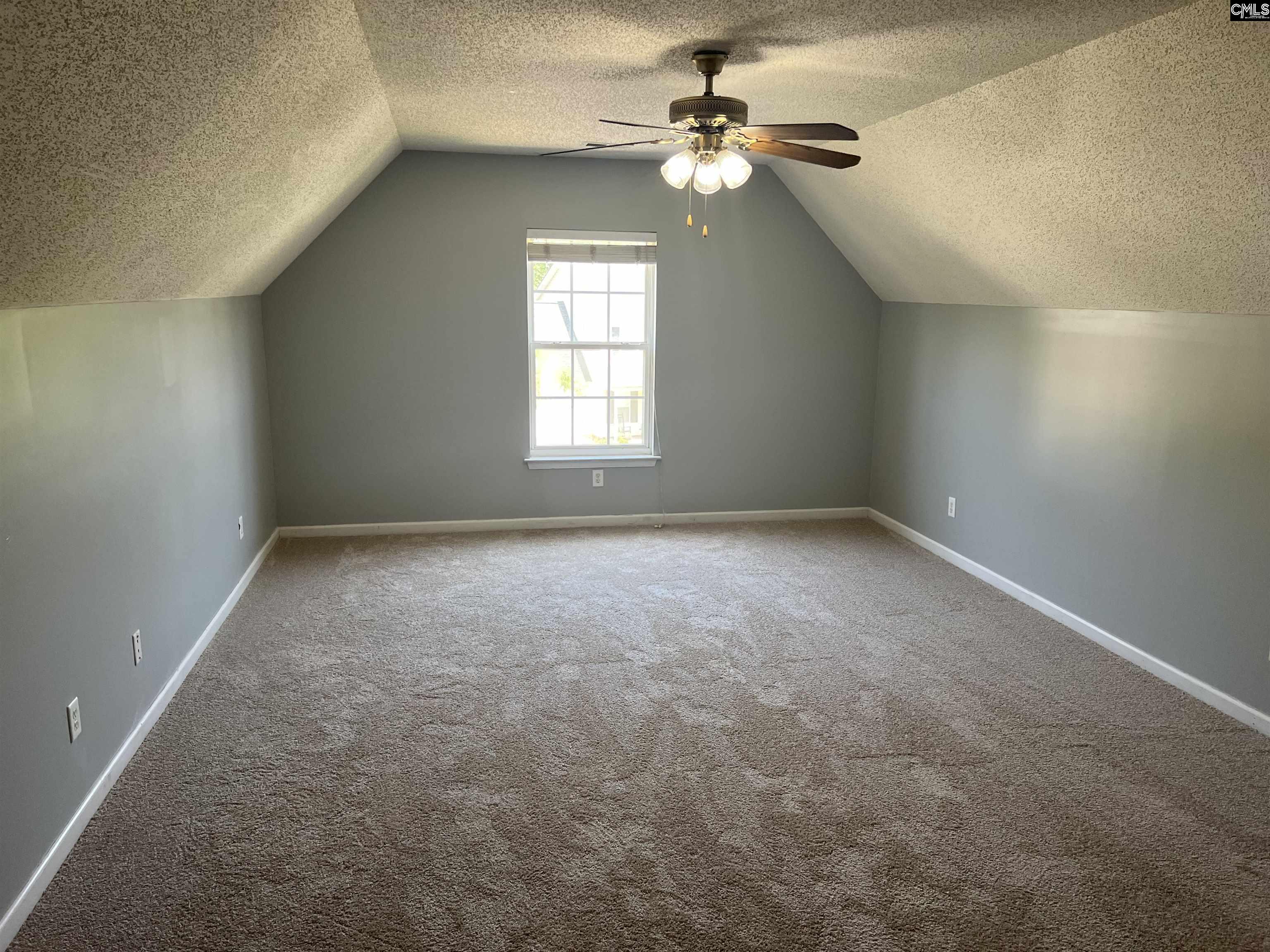 191 Elm Creek Drive, Chapin, South Carolina image 22