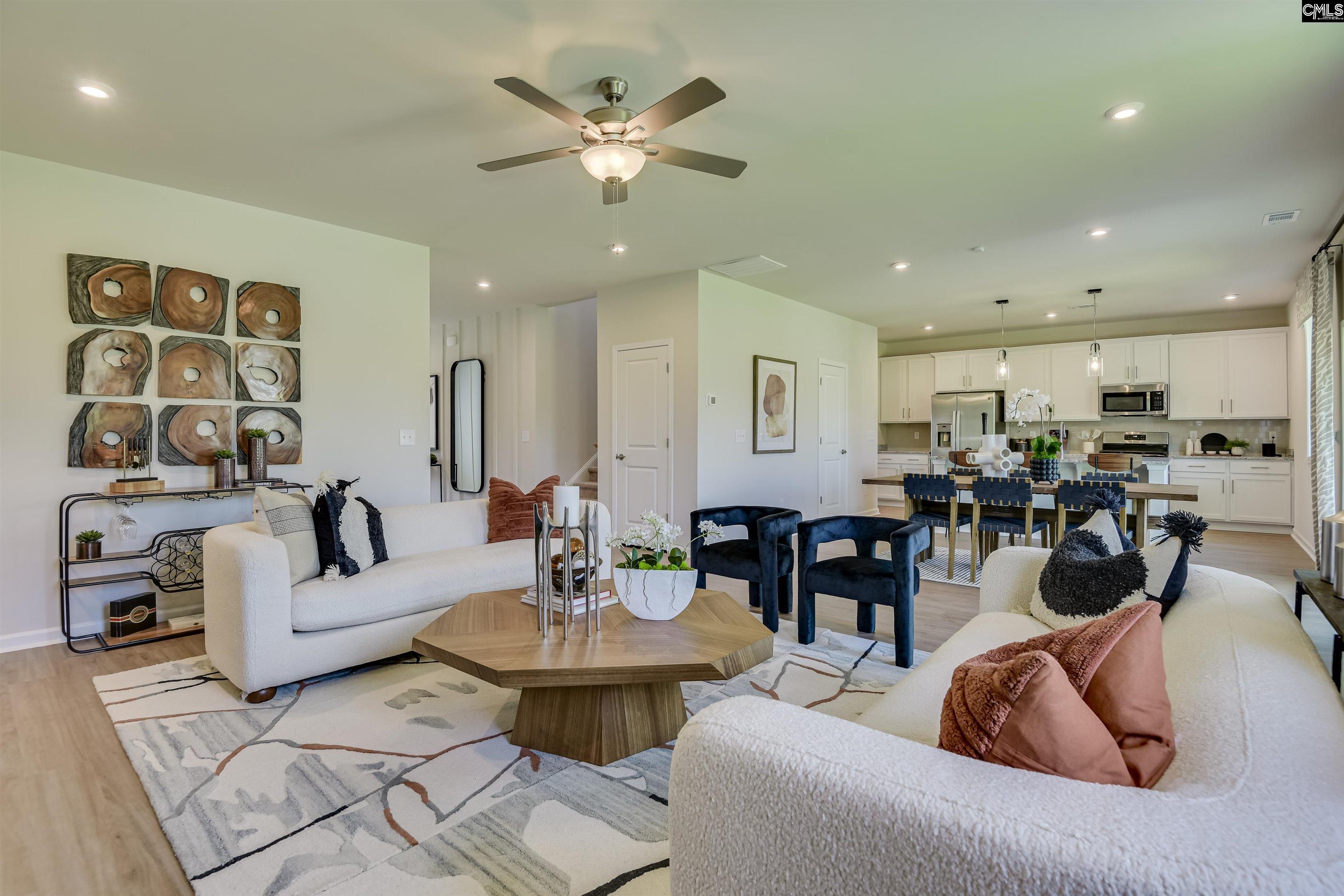 345 Chapin Place Way, Chapin, South Carolina image 3