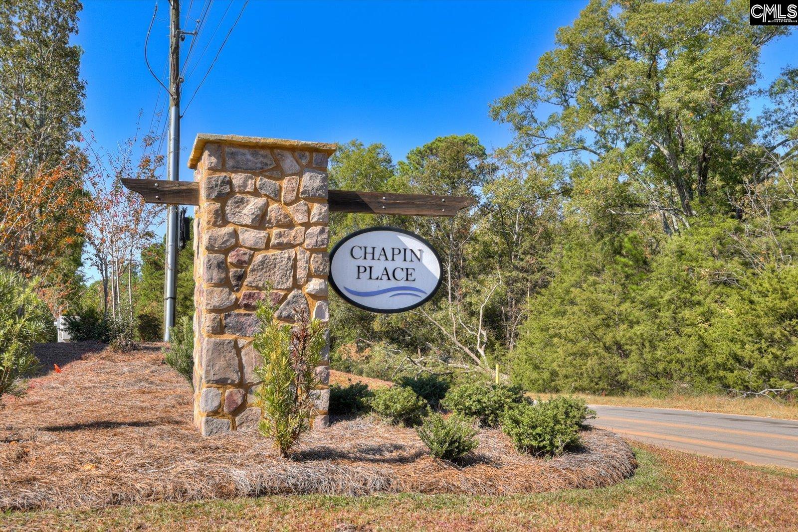 330 Chapin Place Way, Chapin, South Carolina image 3