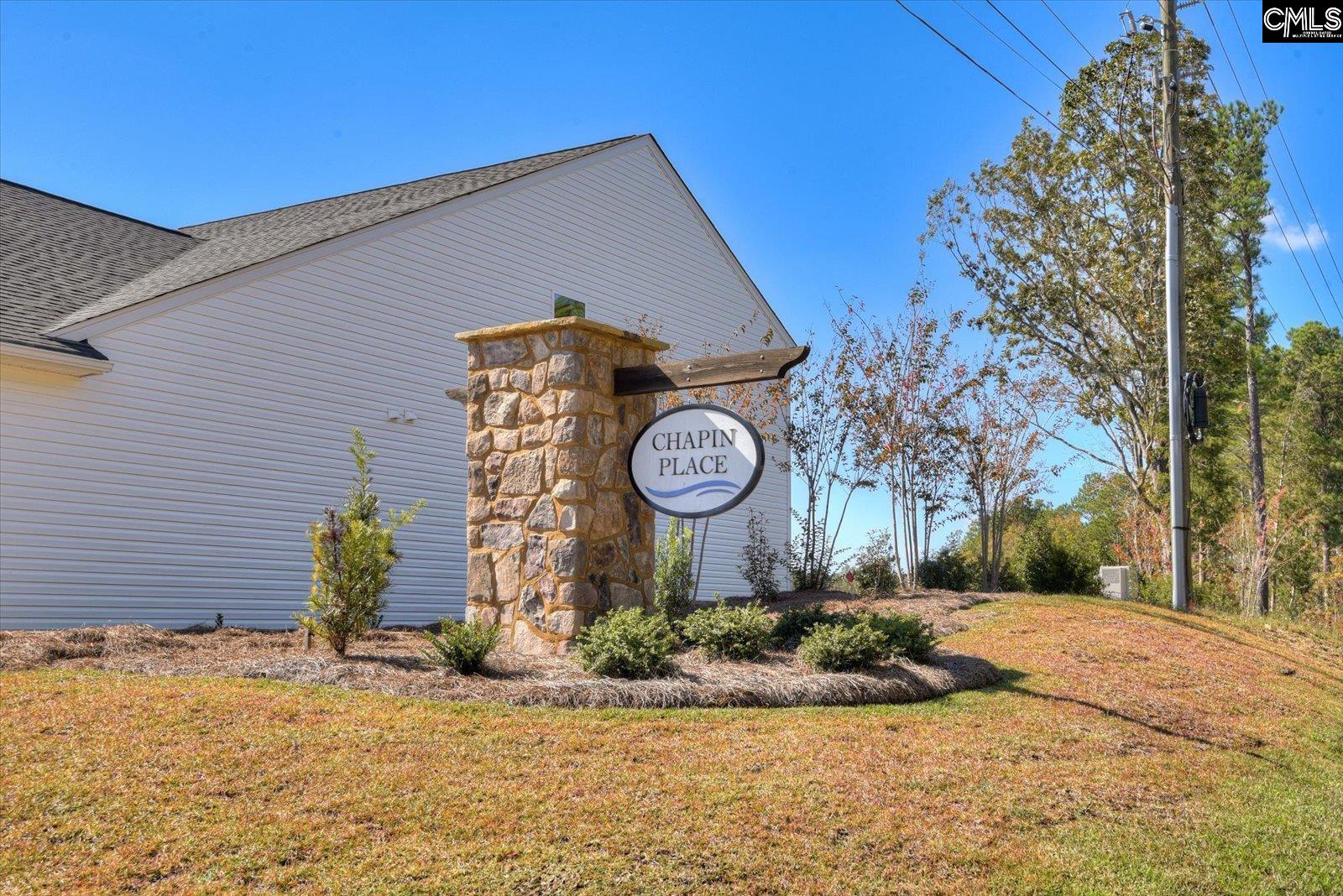 330 Chapin Place Way, Chapin, South Carolina image 4
