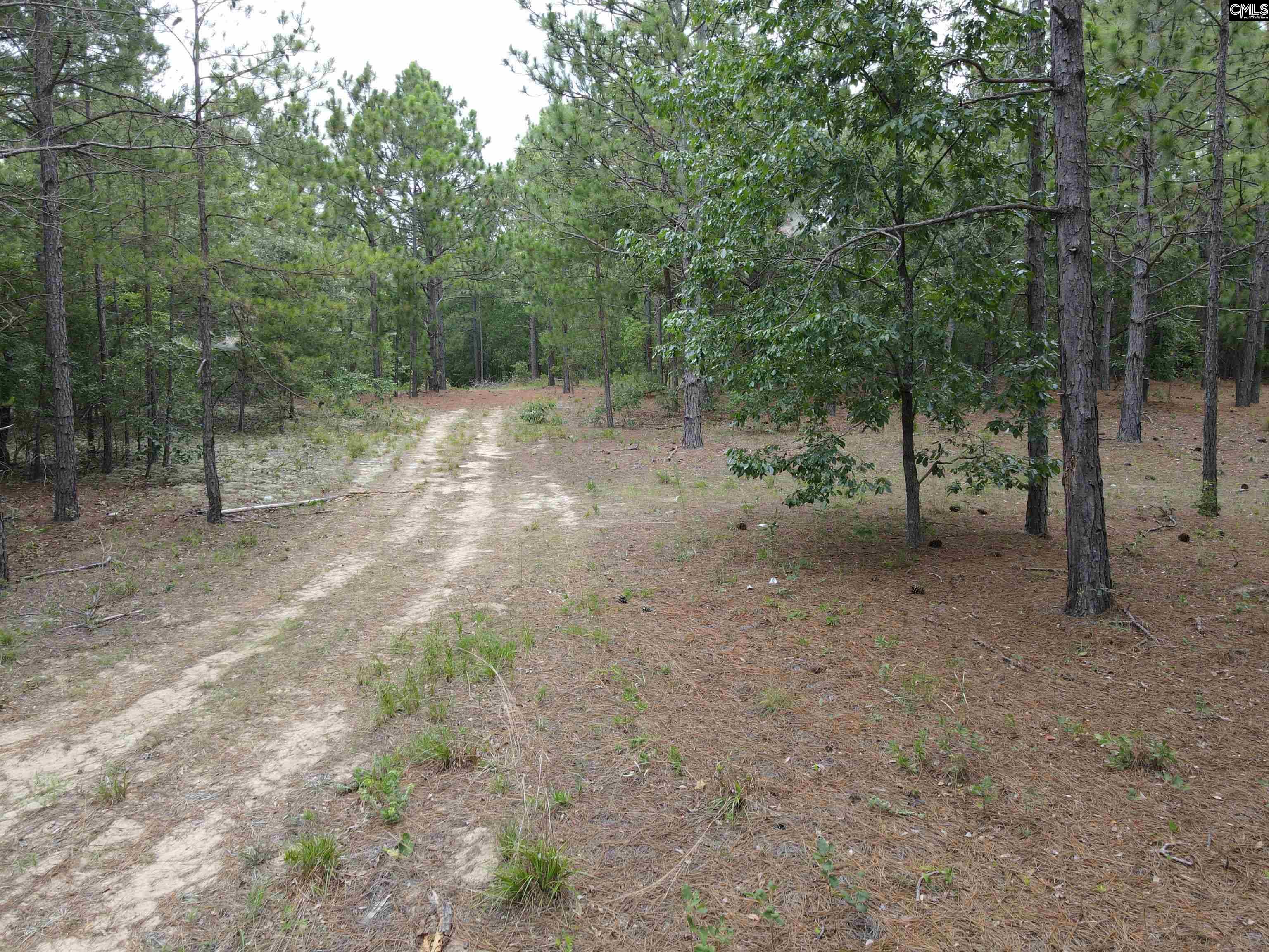 1409 Robinson Town Road UNIT Tract 1 Cassatt, SC 29032