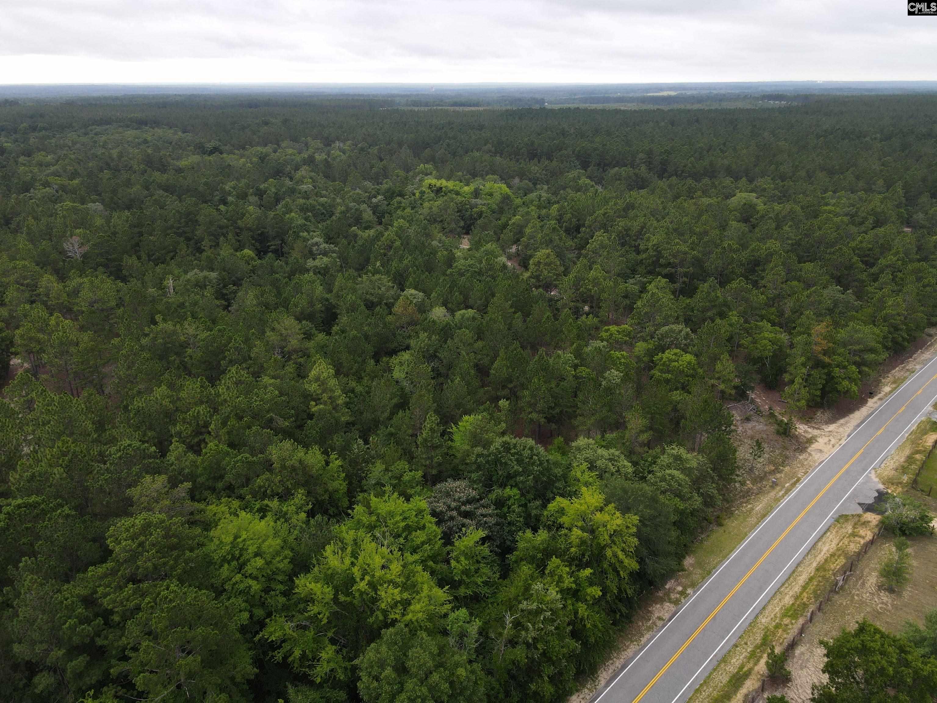 1409 Robinson Town Road UNIT Tract 1 Cassatt, SC 29032