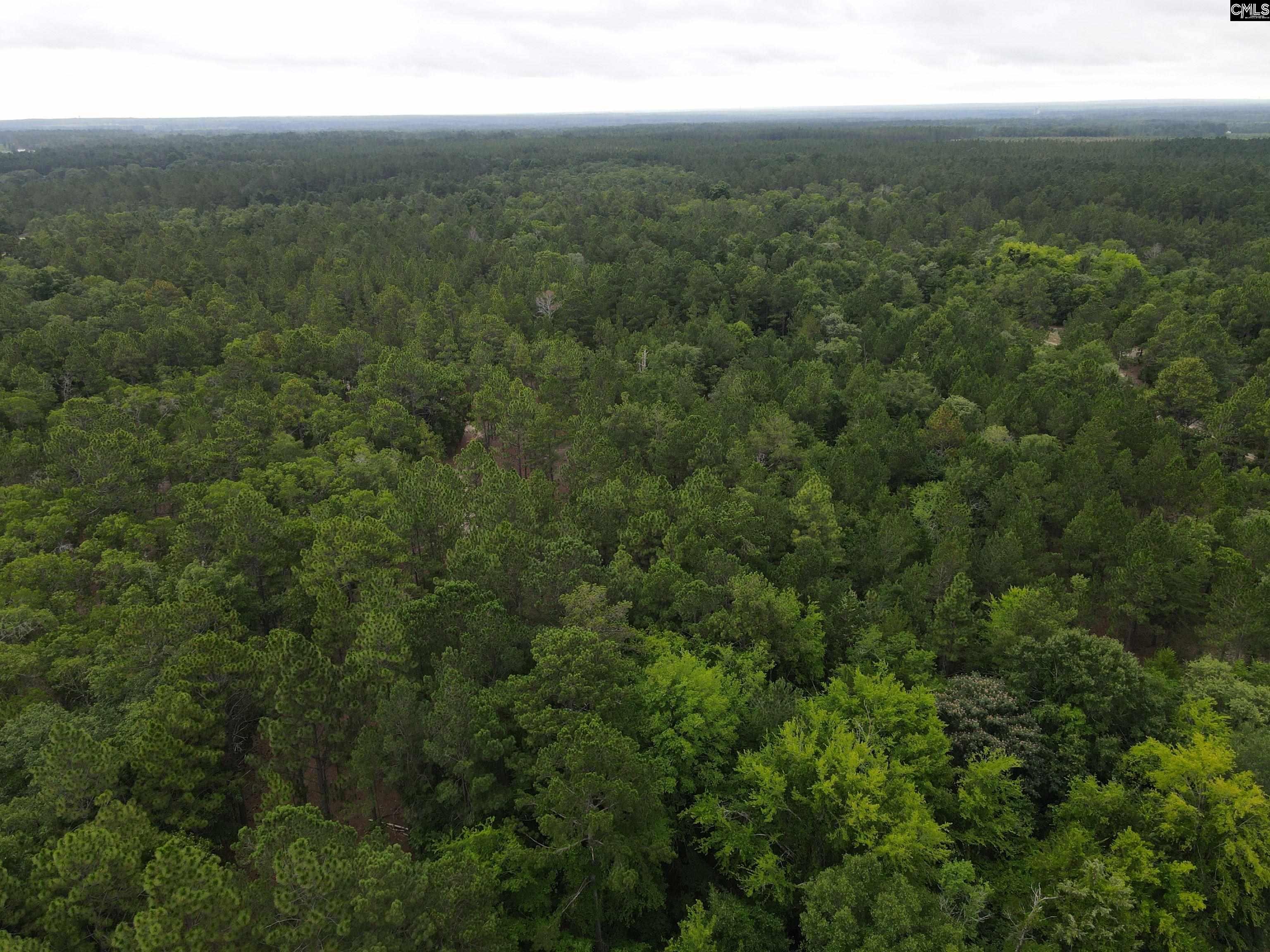 1409 Robinson Town Road UNIT Tract 1 Cassatt, SC 29032