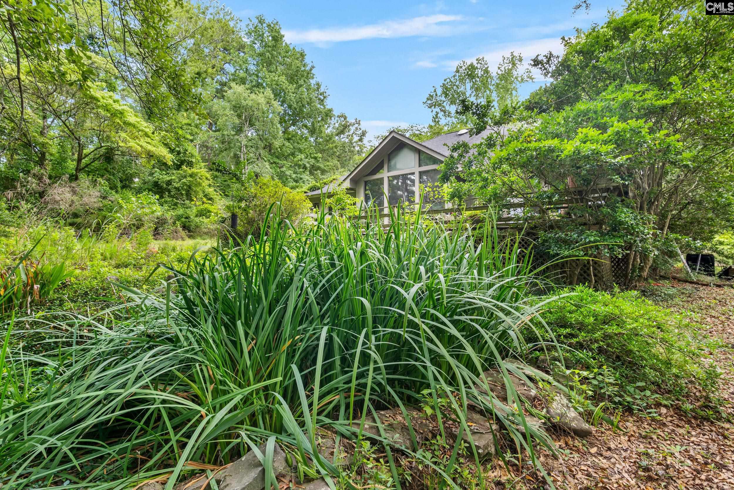 347 Pond View Lane, Lexington, South Carolina image 9
