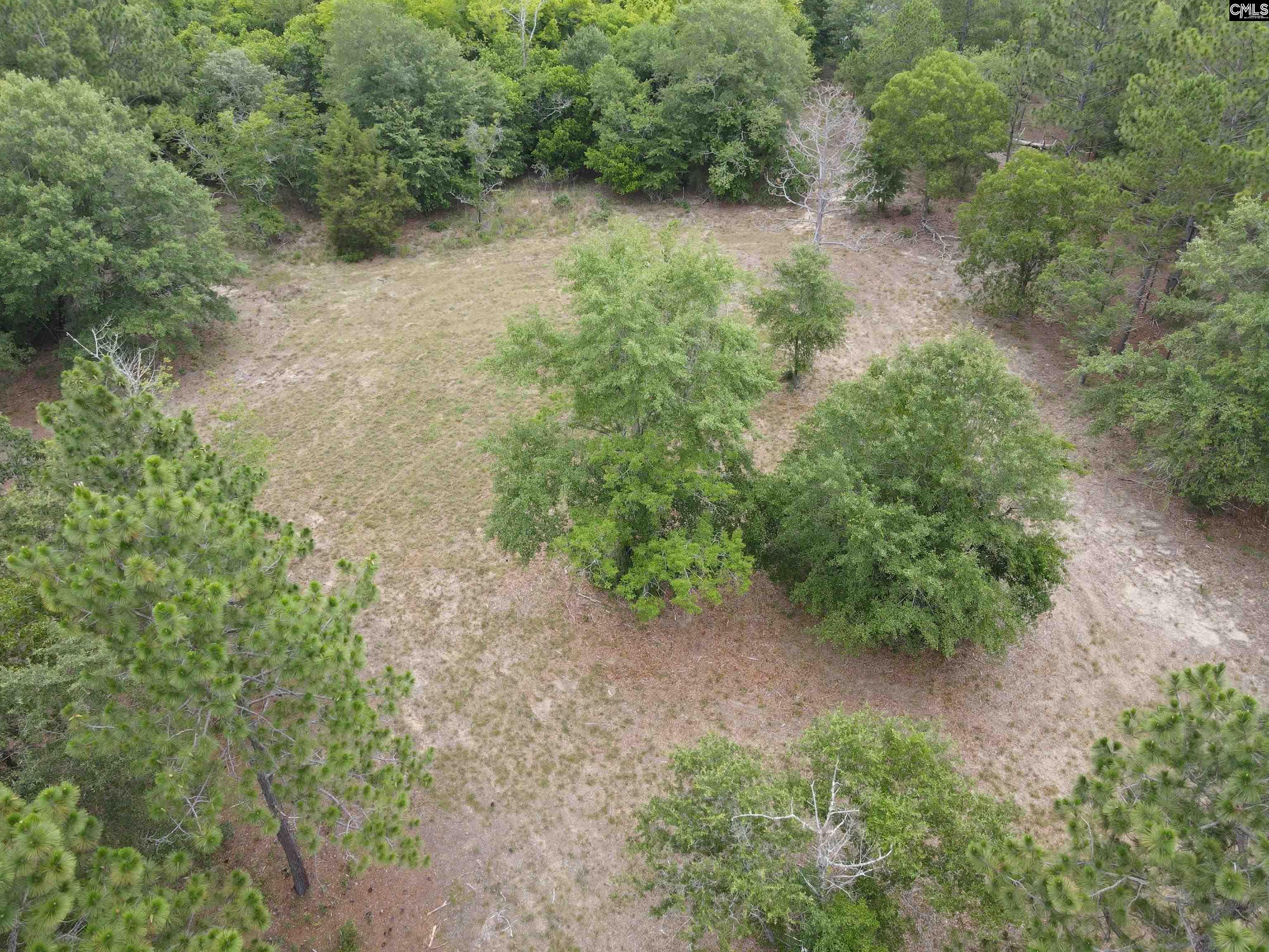 1409 Robinson Town Road UNIT Tract 5 Cassatt, SC 29032