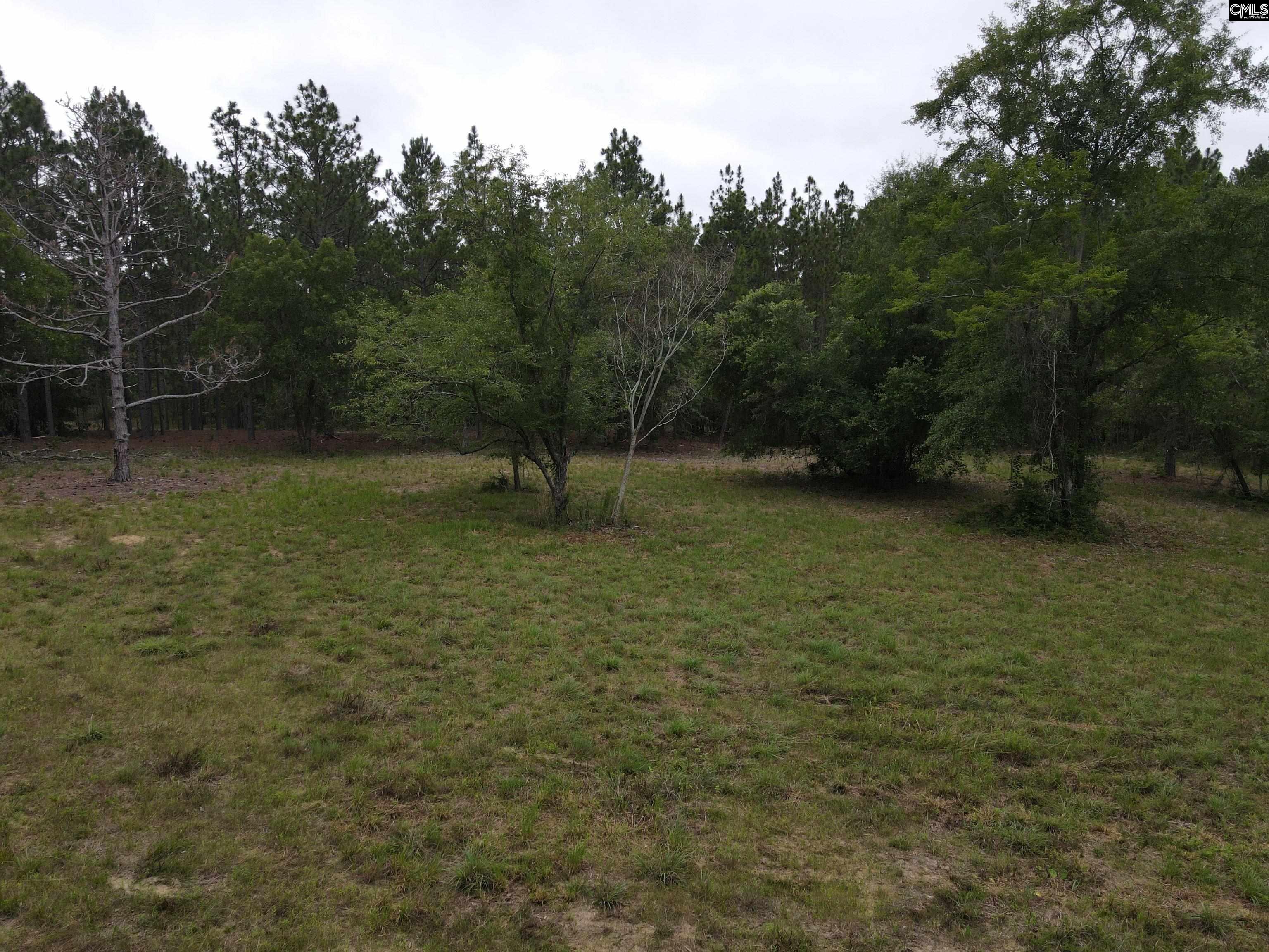 1409 Robinson Town Road UNIT Tract 5 Cassatt, SC 29032