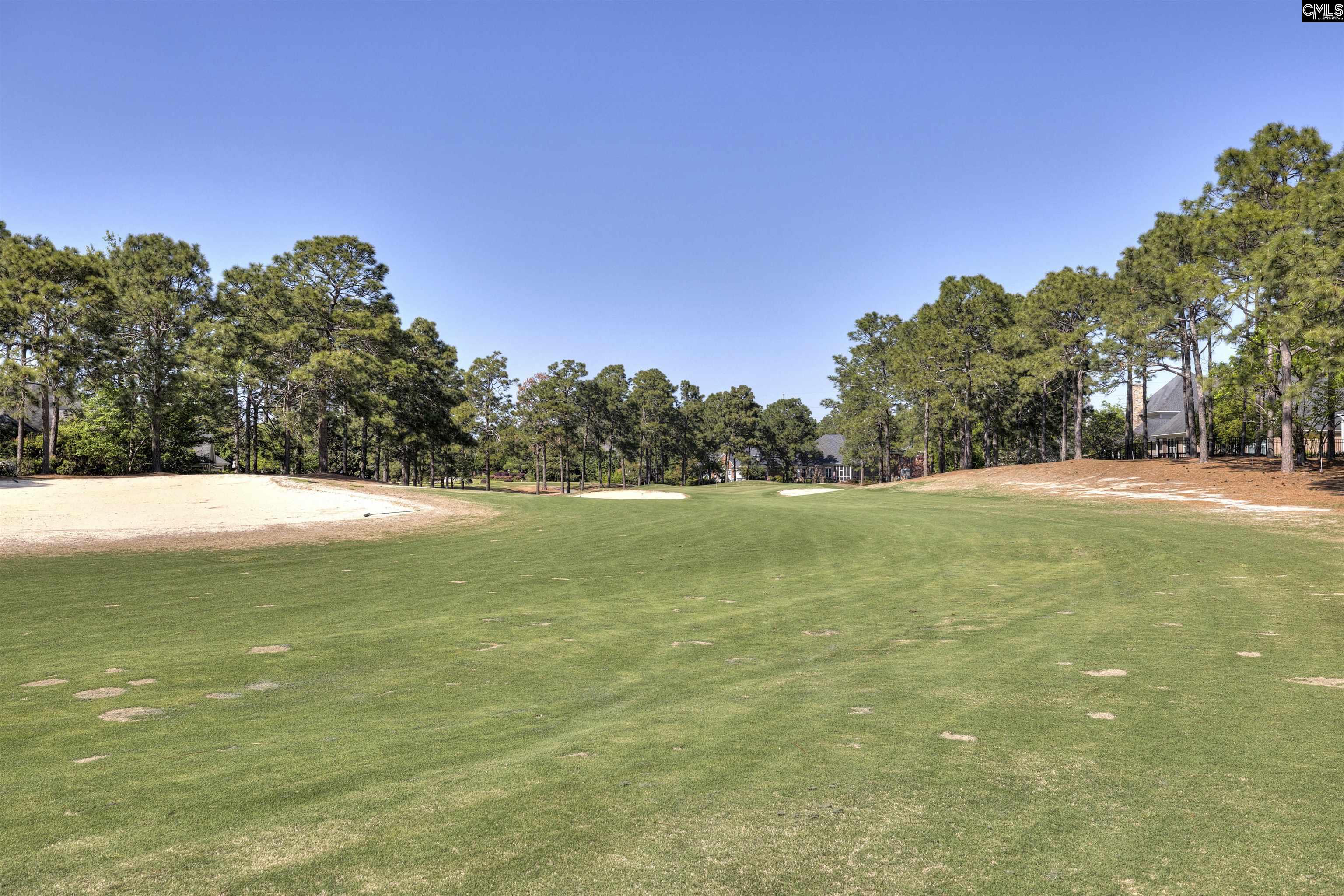 103 Woodsview Lane Columbia, SC 29223