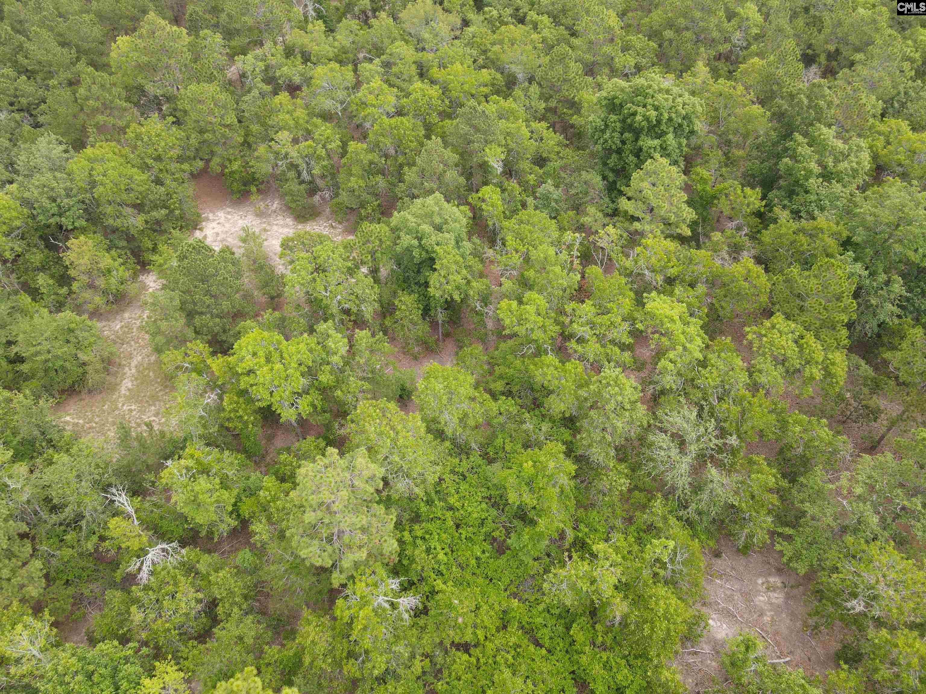 1409 Robinson Town Road UNIT Tract 6 Cassatt, SC 29032