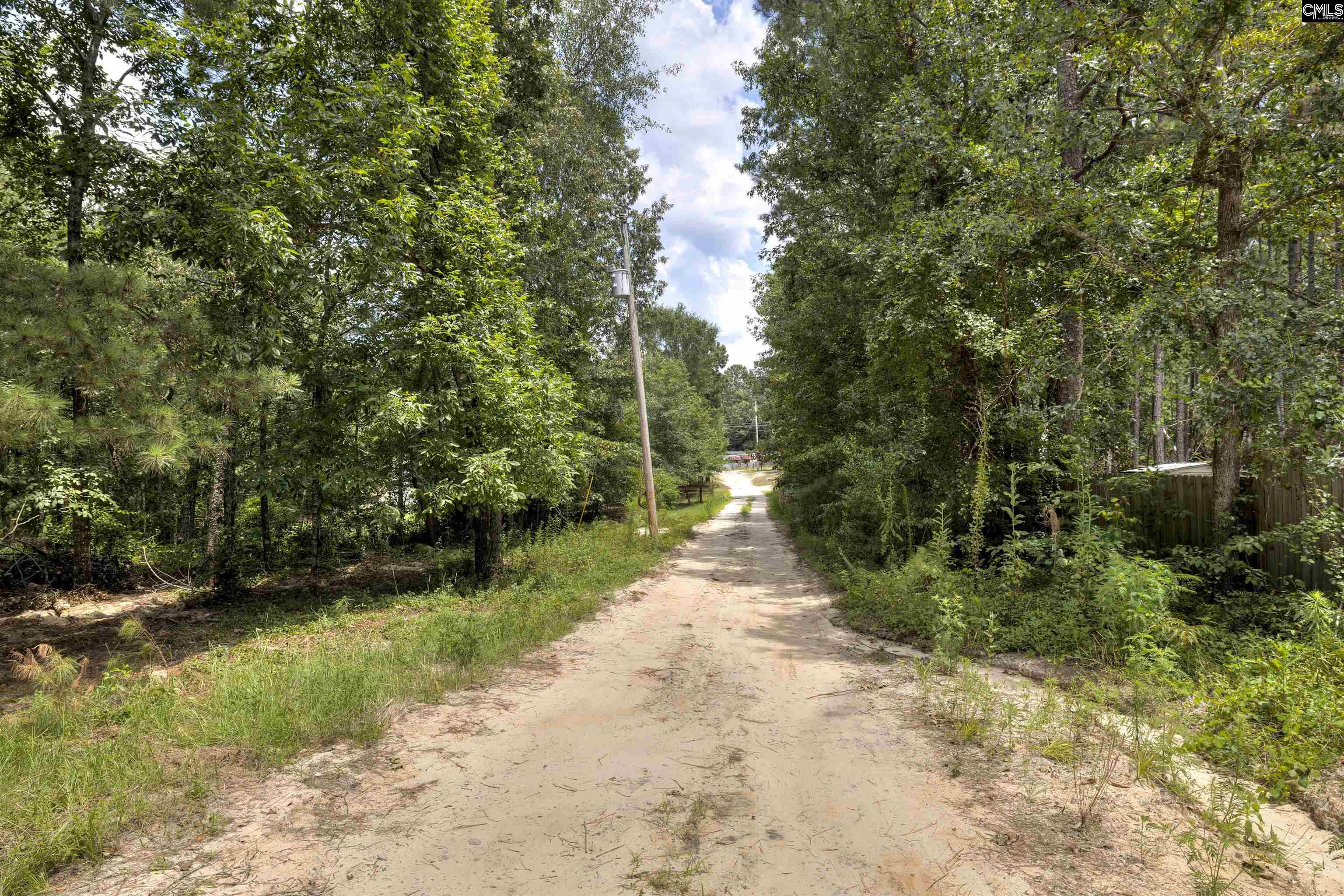 580 Boiling Springs Road, Lexington, South Carolina image 20