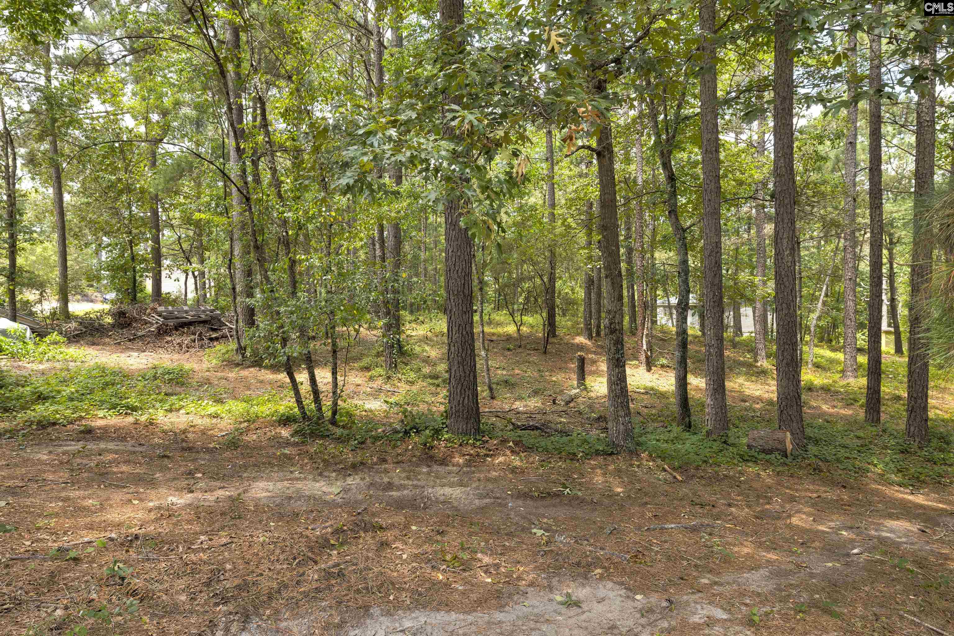 580 Boiling Springs Road, Lexington, South Carolina image 21