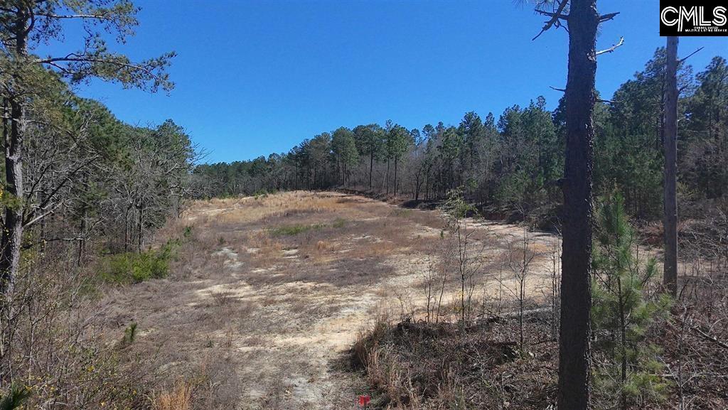 699 Crystal Springs Drive Lexington, SC 29073