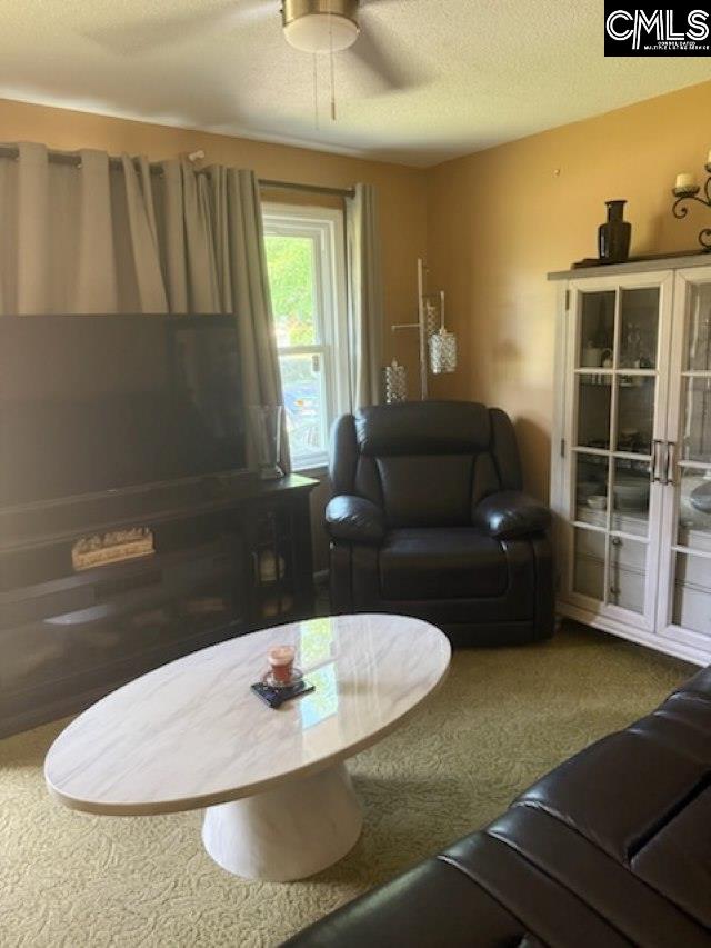 101 Sunglow Court Columbia, SC 29223